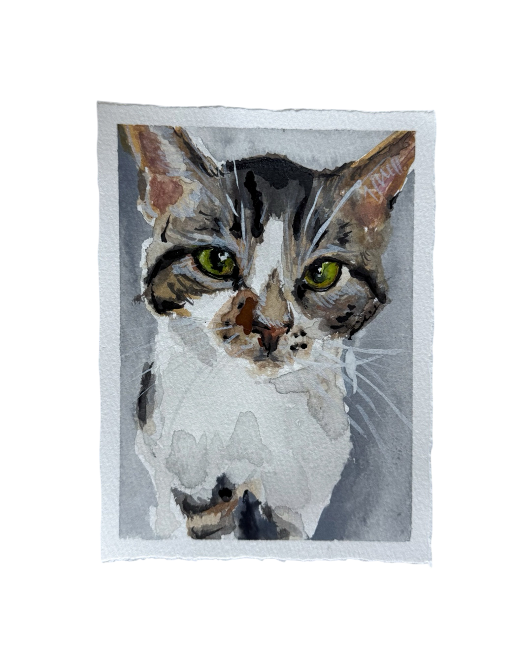 01B269AE-F573-4EE6-BA31-C57D262895A2.png