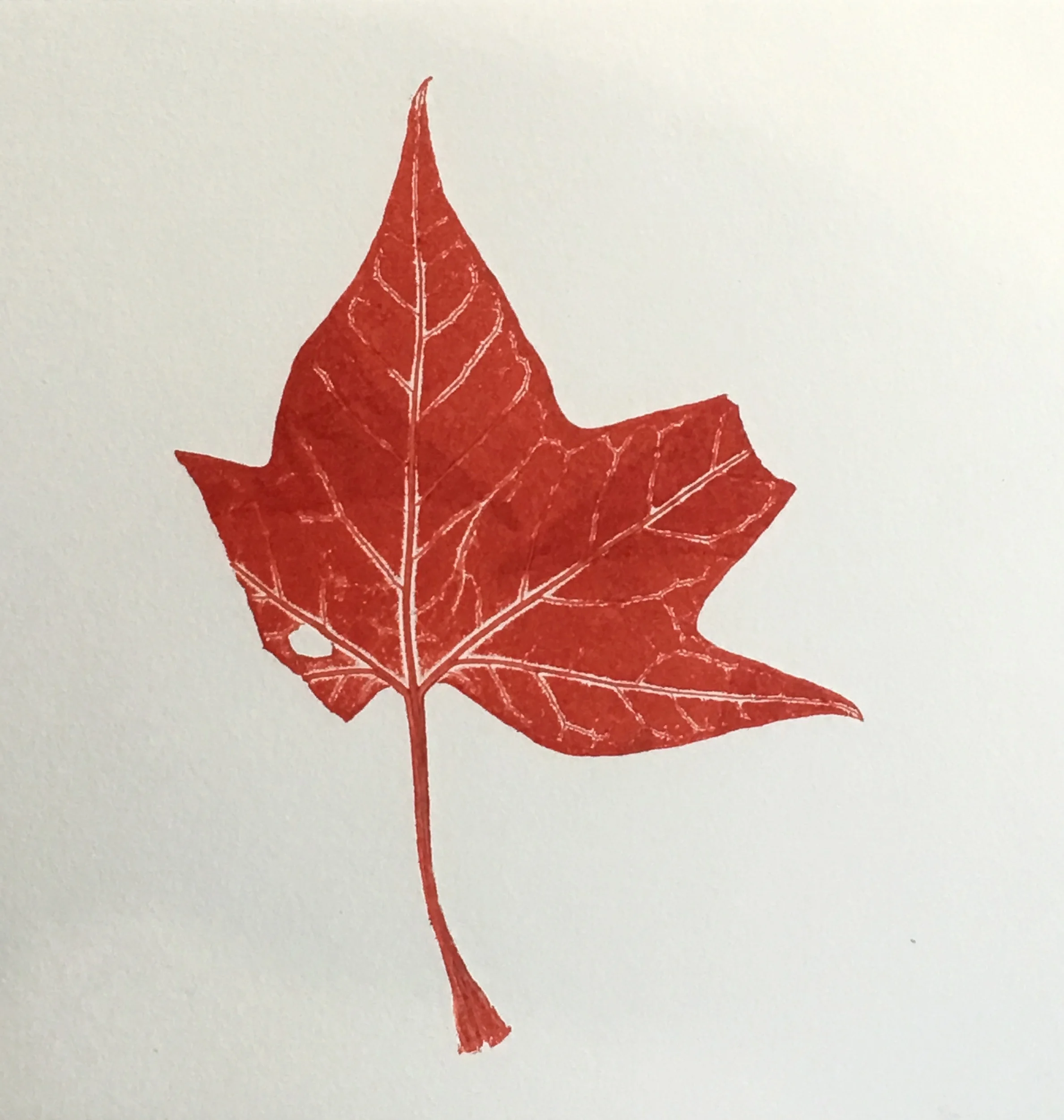 Helga von Sydow "Untitled" 2015. Monotype. 15 x 11"