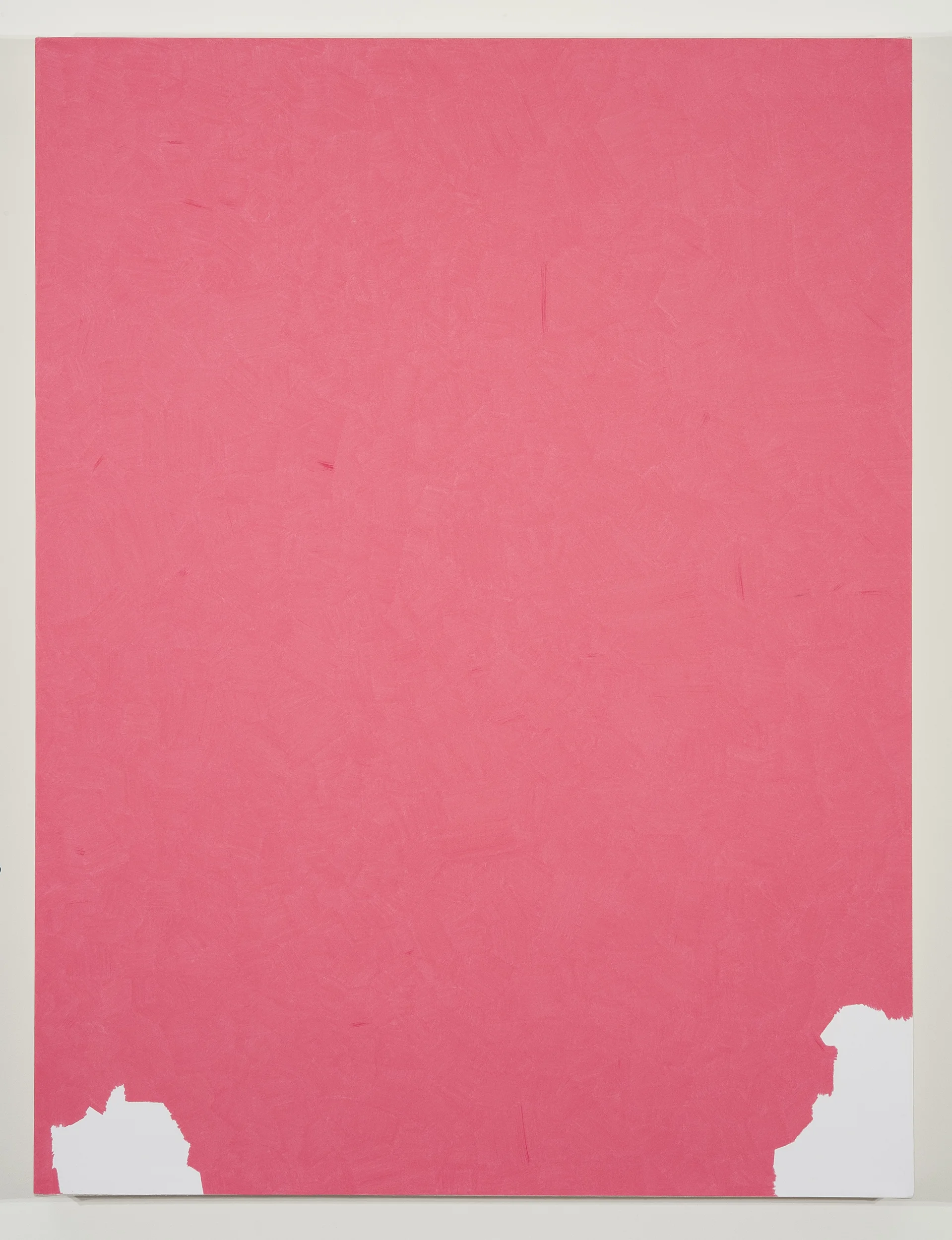 Lucrecia Troncoso "Prismacolor Pink PC929" 2012. Colored Pencil on Paper. 28 x 37"