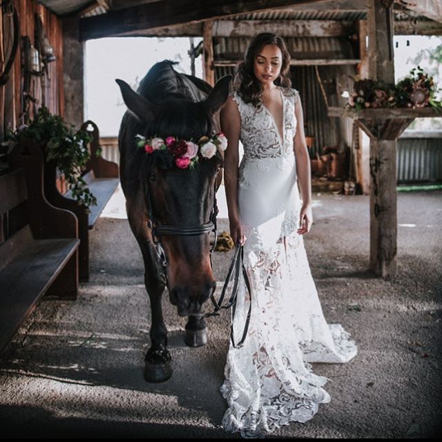 Our Angel gown enjoying a relaxed outing at the amazing @inglewoodestate with talented @emmawisephotography behind the camera.  Available at @perfectdaybridal in Sydney and
@white.bird.bridal.melbourne 
#fashionphotography #wedding #realbride #weddin