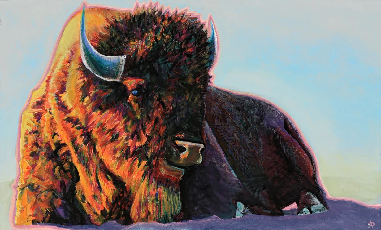 Sunlit Bison / 2017 / 24”h x 40”w / acrylic, ink & oil paint on canvas