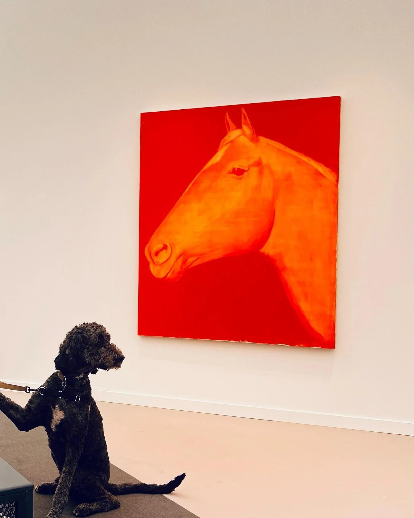 At #friezeartfair this year Teddy liked a red horse, the Boys liked a painting that bans devils, I liked a revolving pie and we all liked to be on the cover of Time magazine. 

 #friezelosangeles #friezela2023 #friezelosangeles #timemagazinecover #ar
