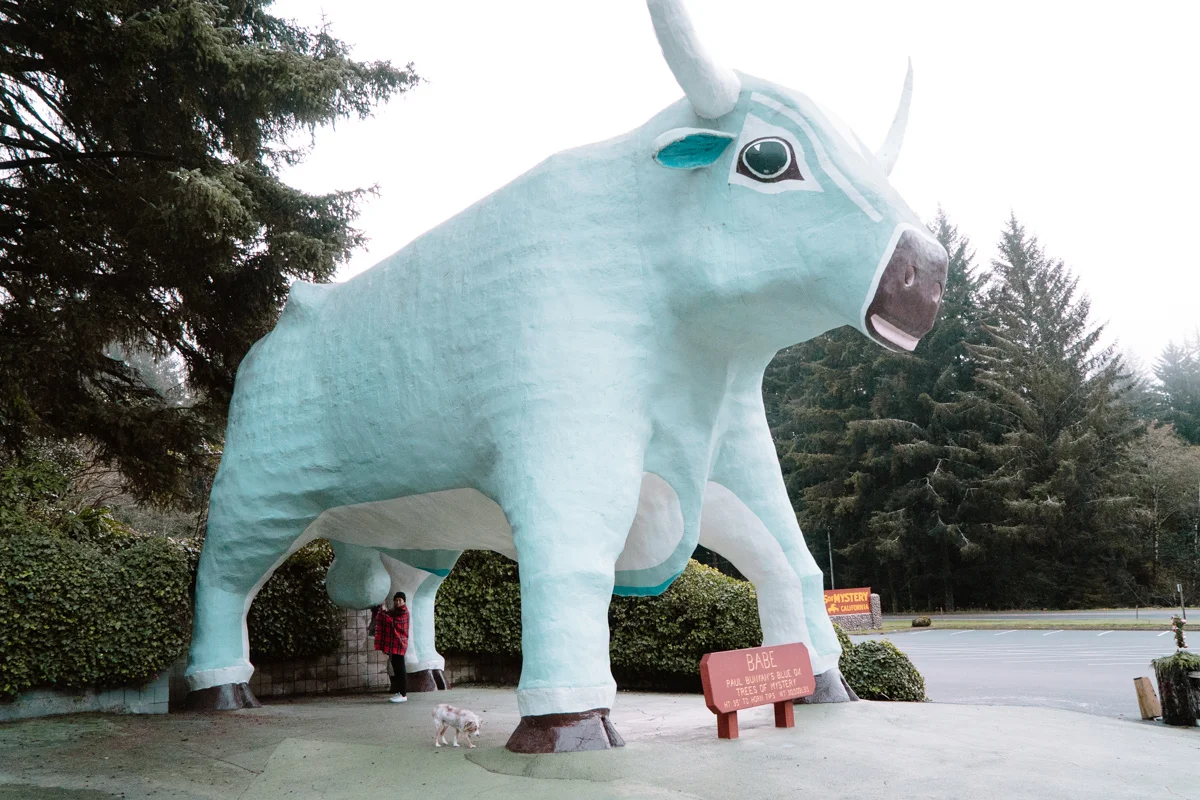 Me with Paul Bunyan and Babe the Blue Ox at the Trees of Mystery in Klamath. I had visited these two before in the summer before college when my family drove up to Oregon to check out my future college and we (of course) decided to take the scenic coastal drive back.