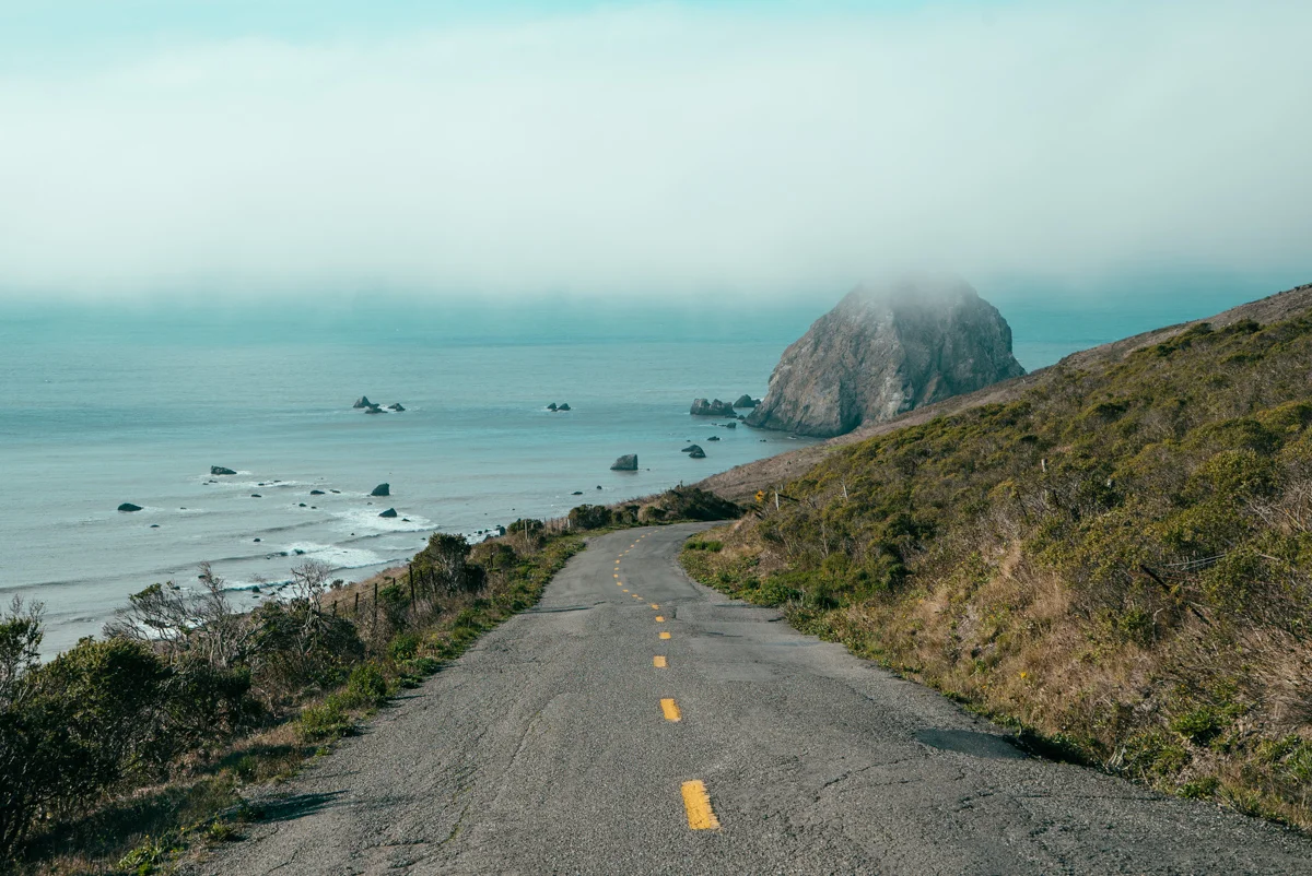 The winding road climbed and dropped for some time until we finally arrived to the coast of the Lost Coast.