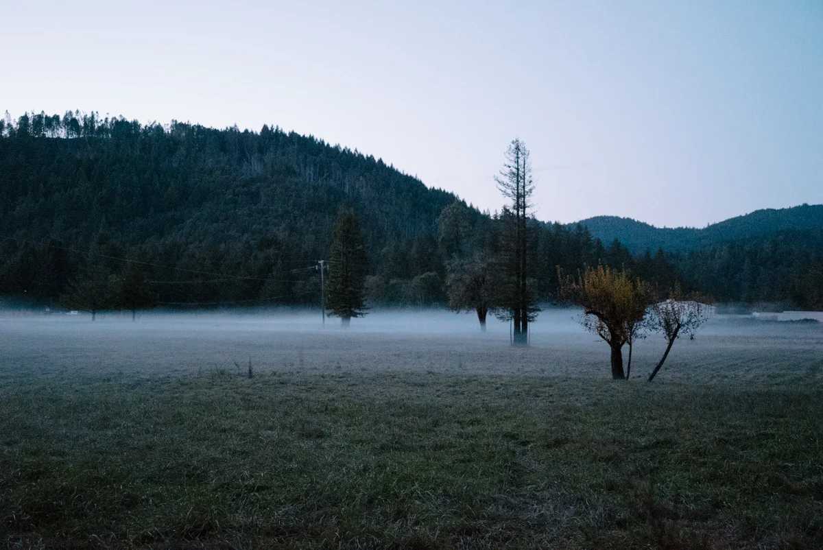 As night fell we made our way back to San Francisco.