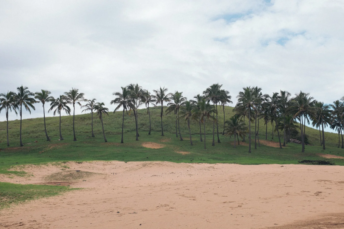 Sand and palm trees are not a very common sight on Easter Island, but both are plentiful on Anakena Beach.