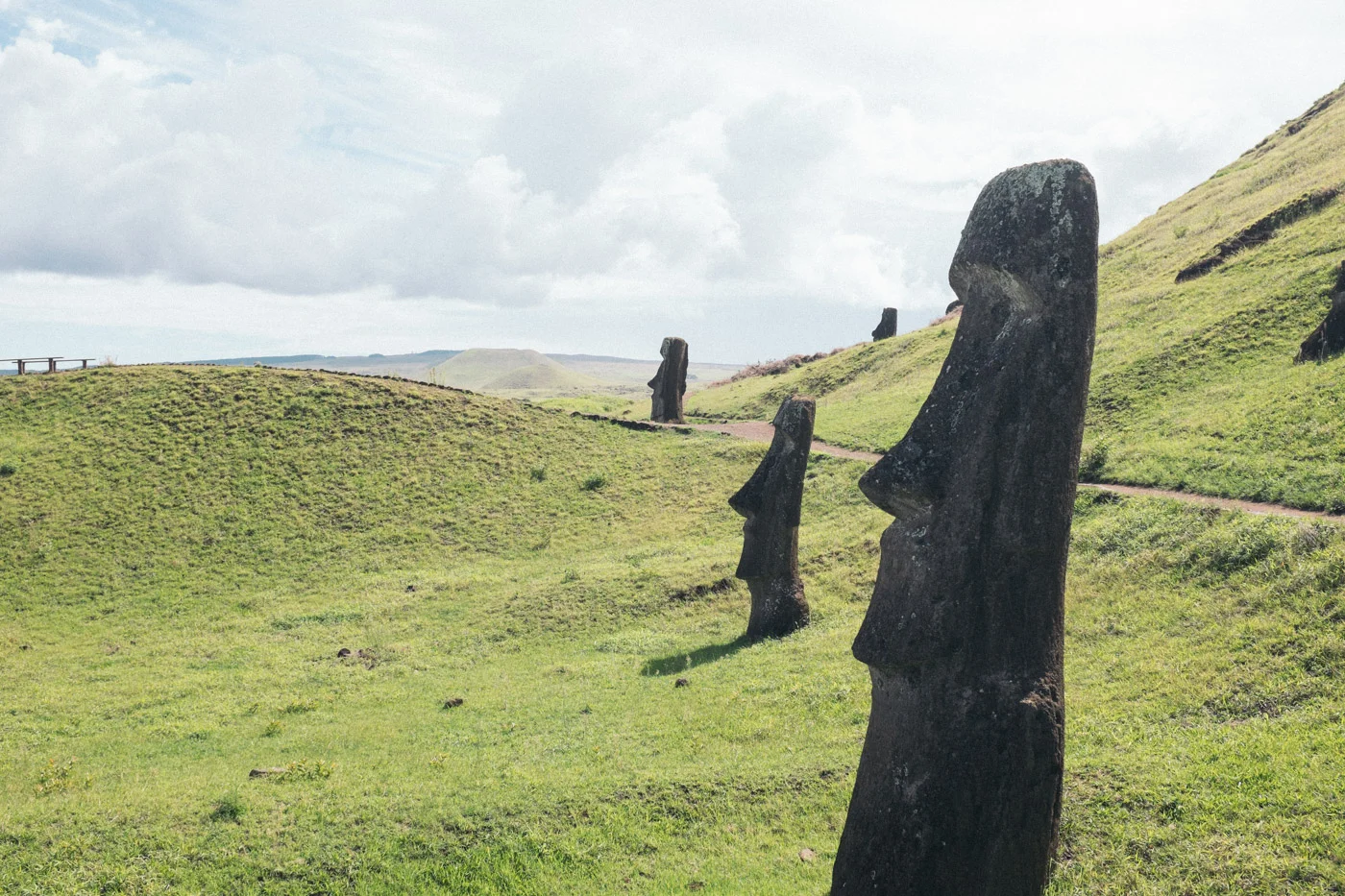 These frequently photographed Moai in the hillside are the statues still at the quarry where they were carved. For one reason or another they didn’t make the journey across the island to their intended site and platform. There are dozens if not a hundred of them dotting the outer and inner side of the crater.