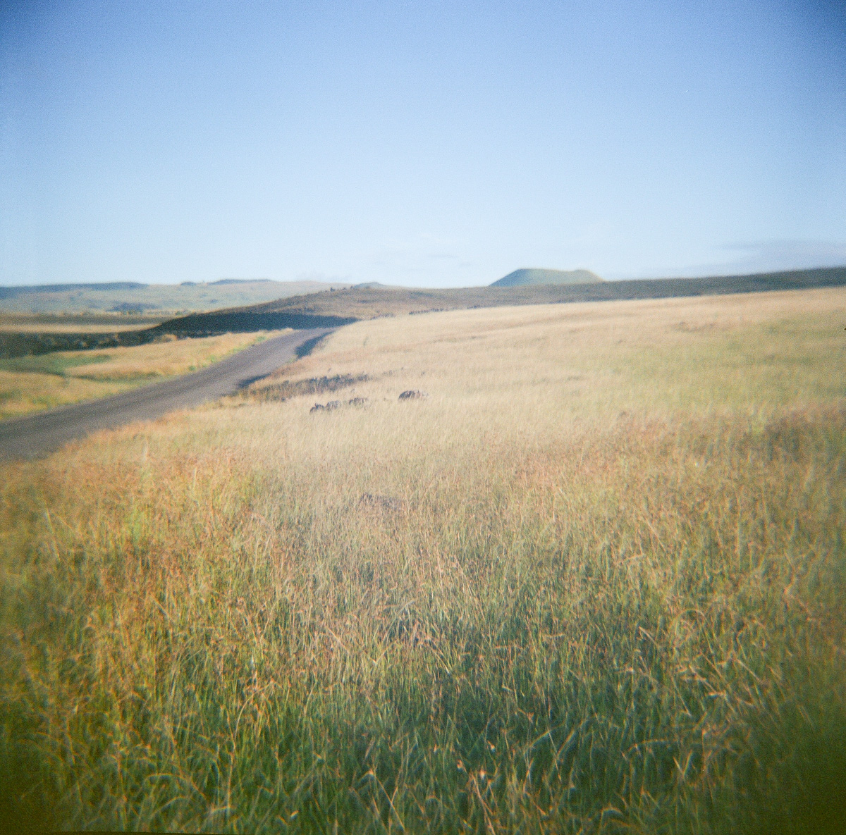 renee-lusano-easter-island-lomo-diana-10.jpg