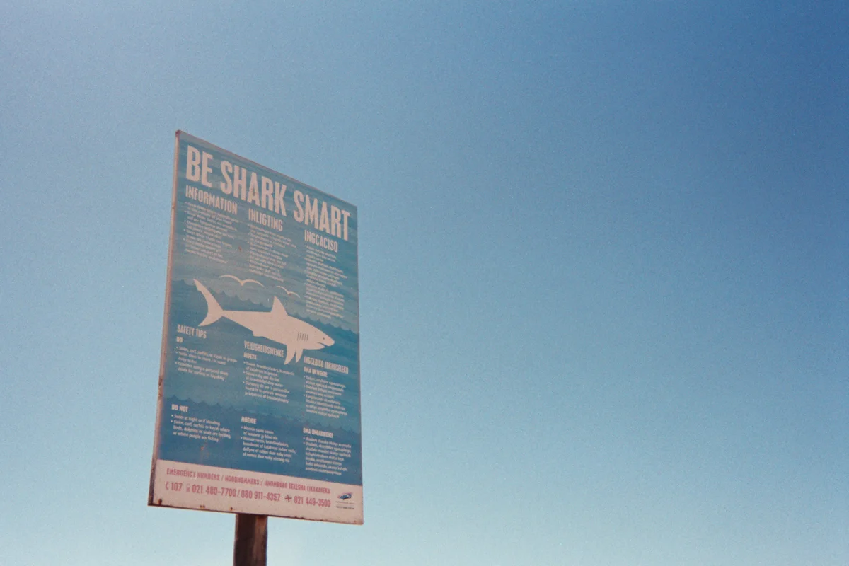 This is great white shark territory