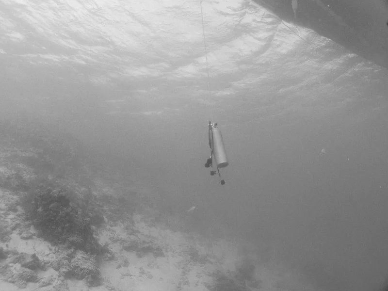 A backup air tank and regulators hangs from our anchored boat. With deep dives this is common as a safety precaution in case anybody surfaces with low air so that they can safely make their safety stop, which just involves hanging out at 15 feet for 3-5 minutes to off-gas built up nitrogen from your body.