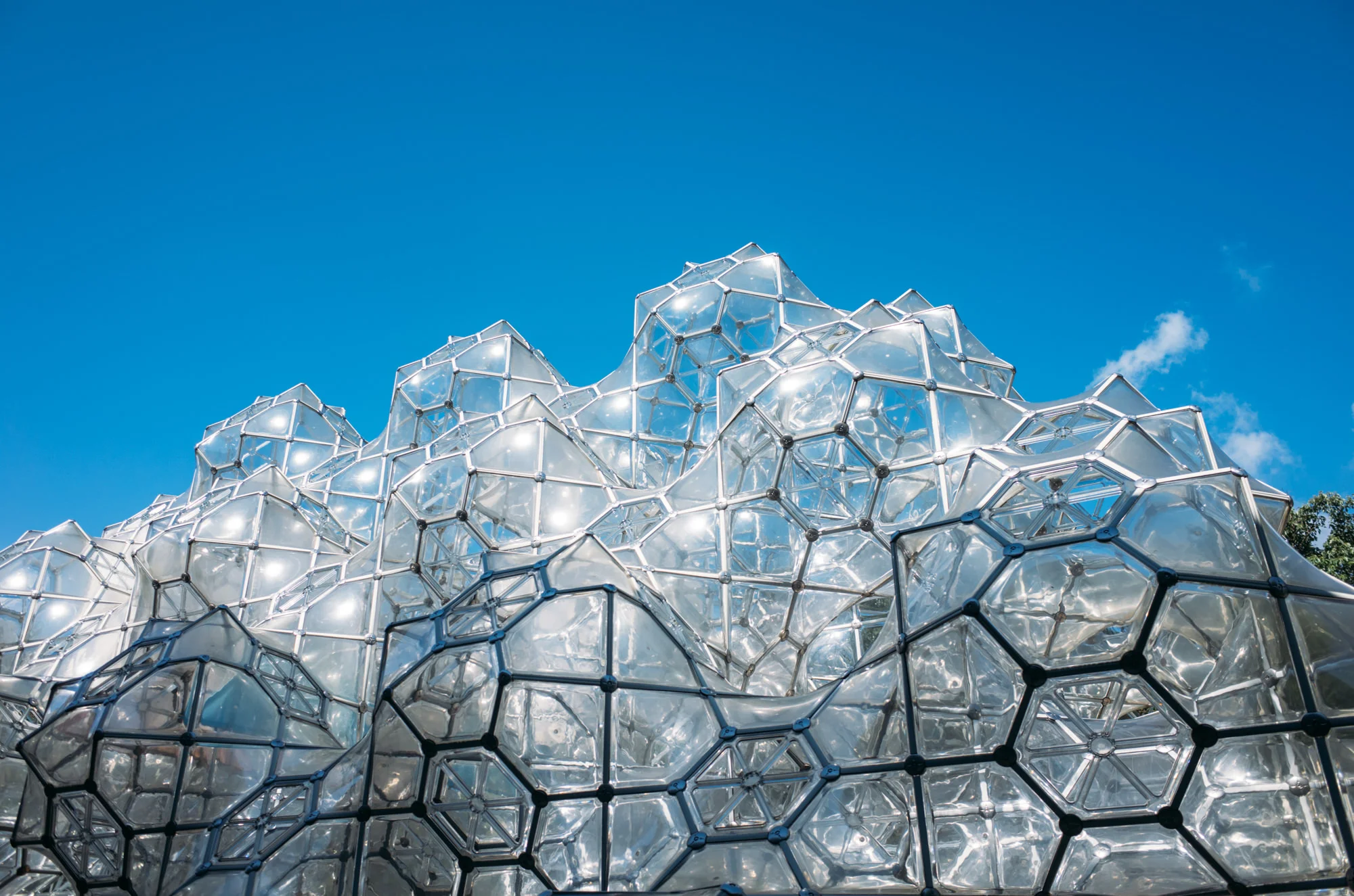 Curved Space Diamond Structure by Peter Pearce
