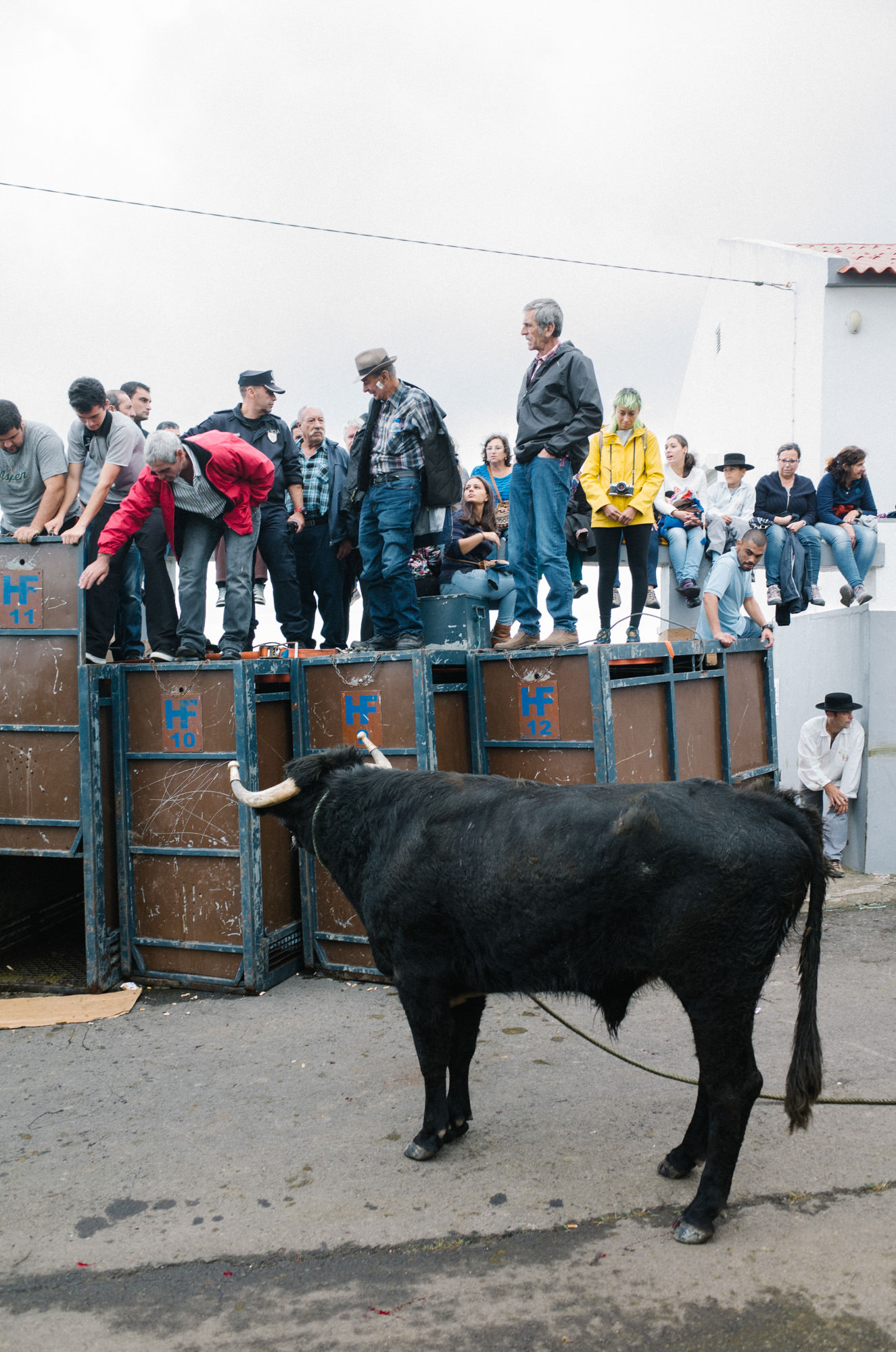 wrenee-renee-lusano-azores-portugal-30.jpg