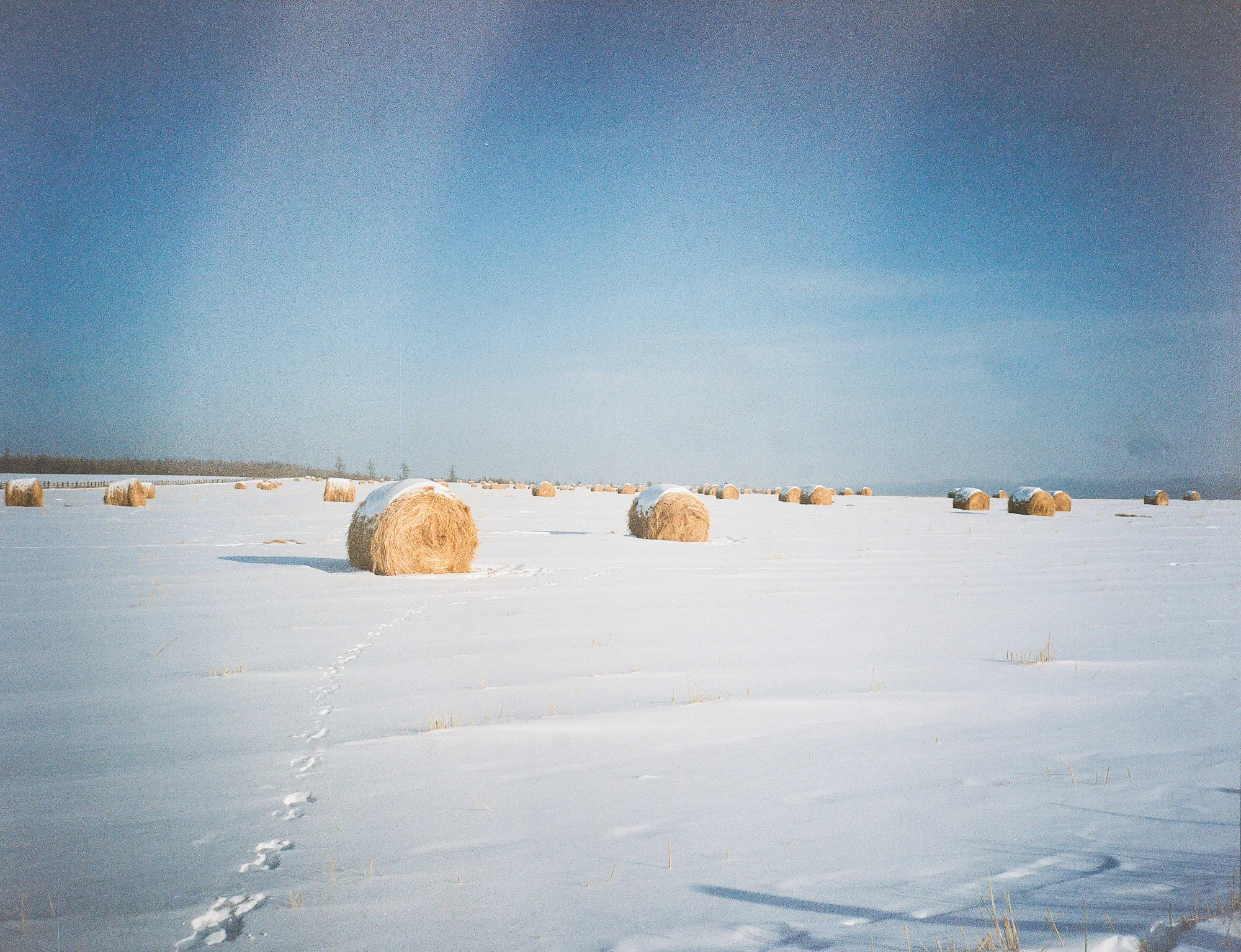 Sights along the highway; sleeping towns, frozen farms and empty bus stops.