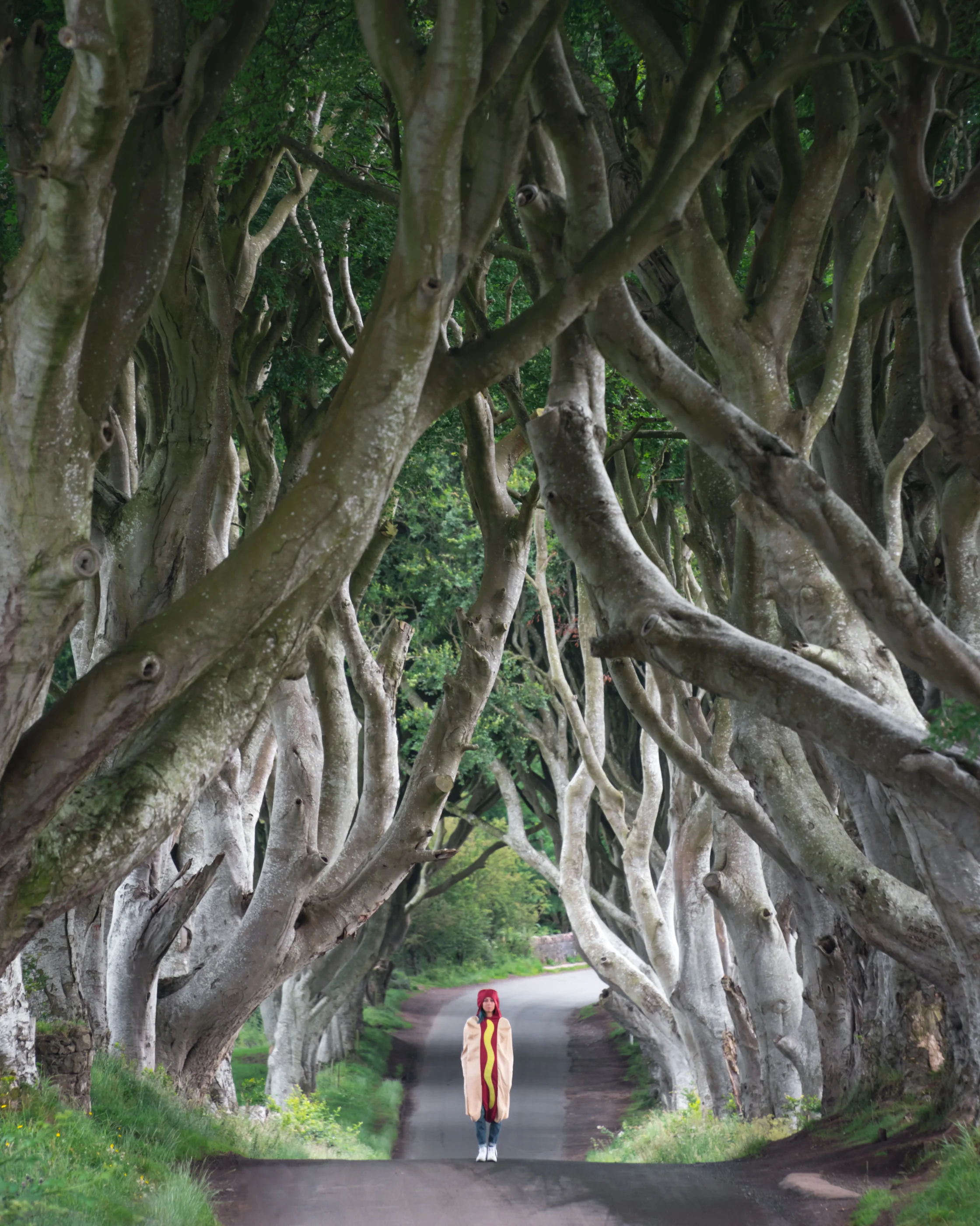 Conor snapped this photo of me in my traveling hot dog costume at the Dark Hedges.