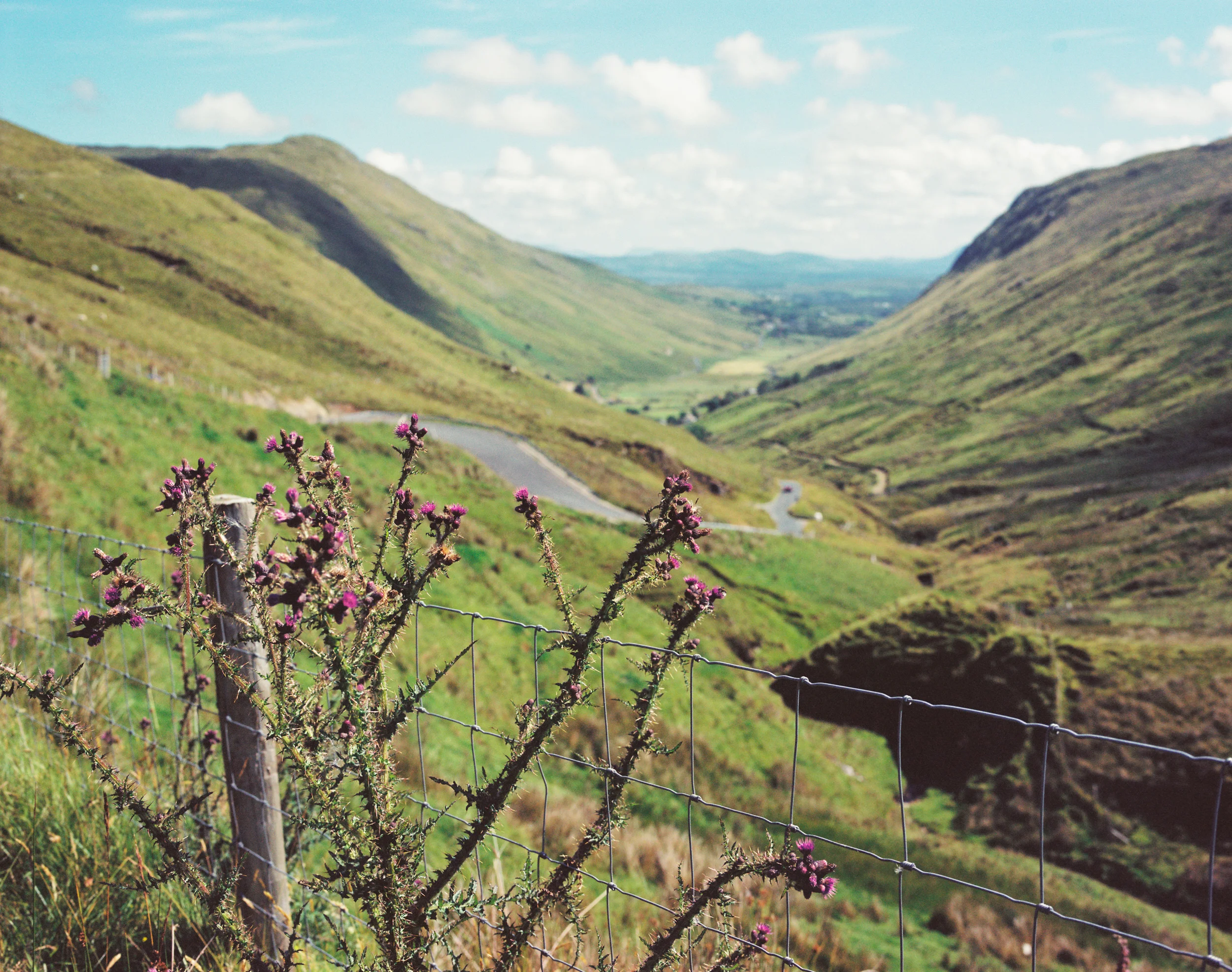 wild_atlantic_way-1.jpg