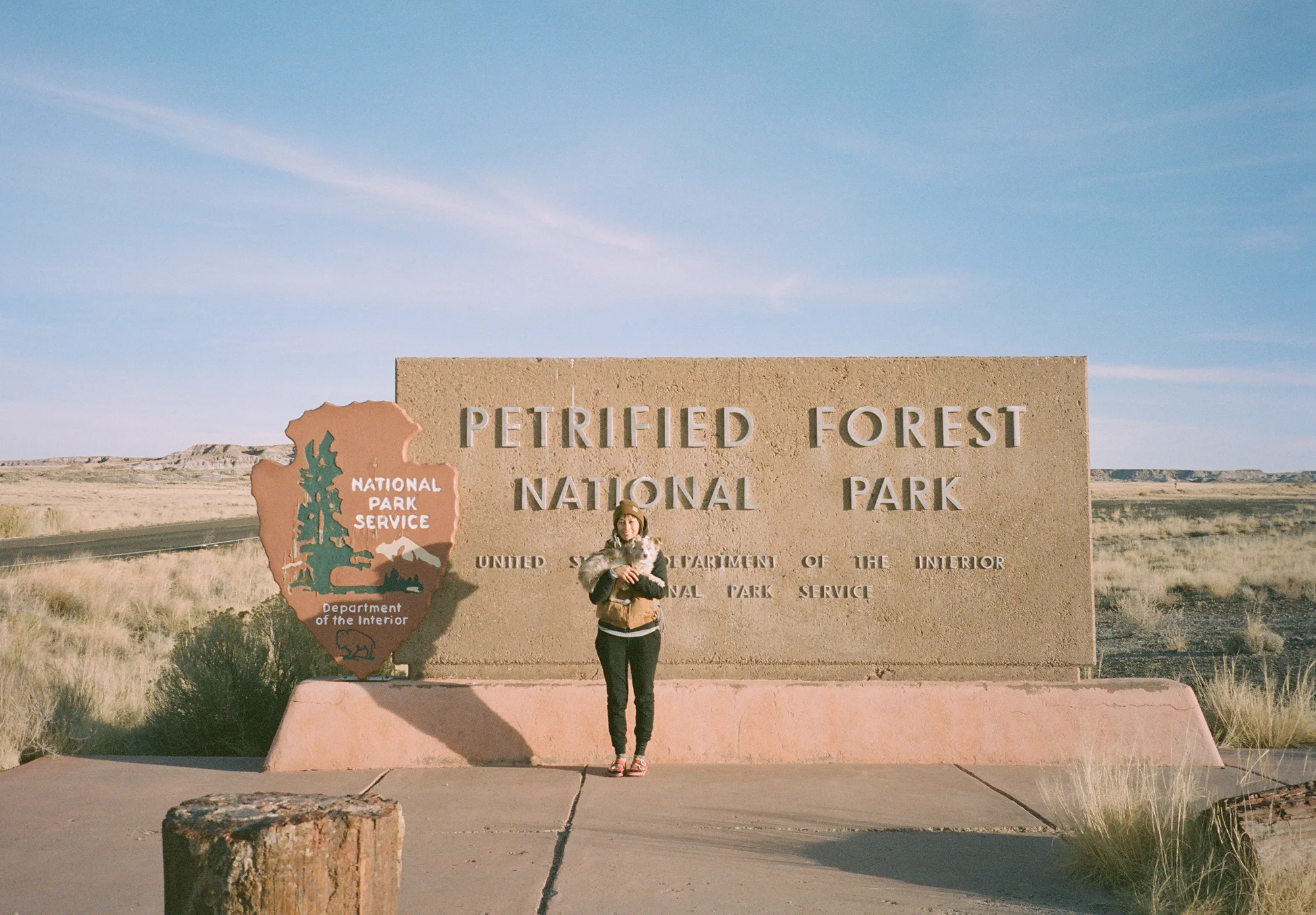 Petrified Forest NP is home to logs that are millions of years old and have been turned into stone, many cool geological formations, and the Painted Desert.