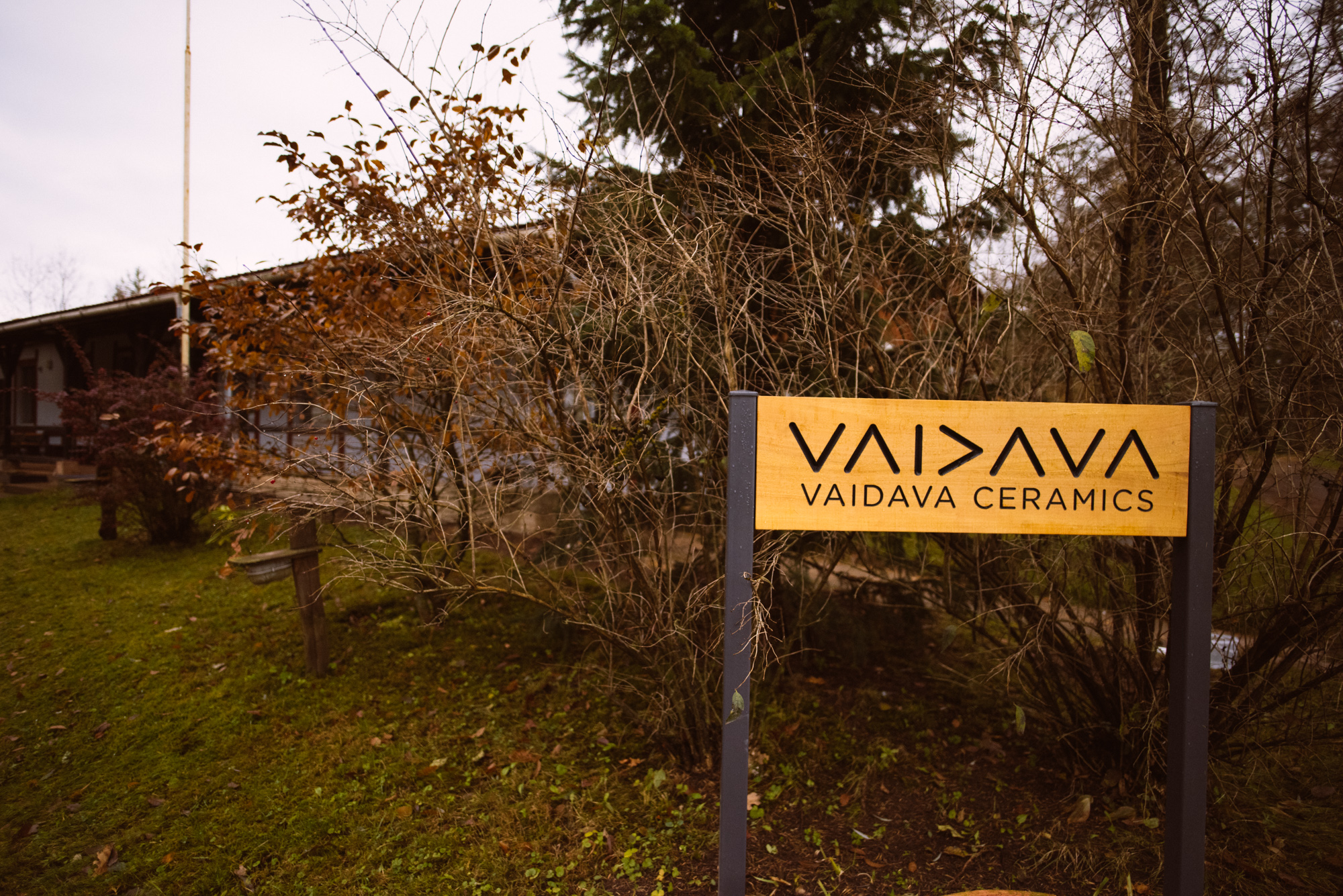 vaidava-1.jpg