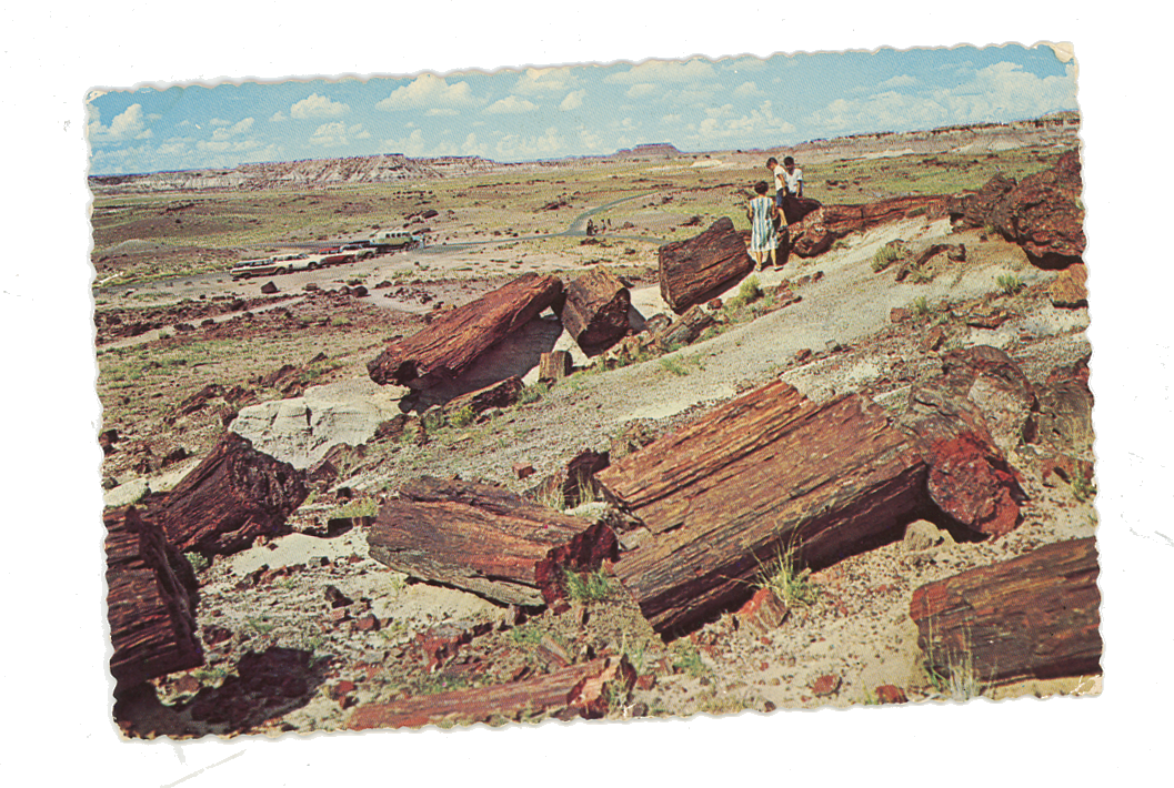 petrified_forest_postcard.png