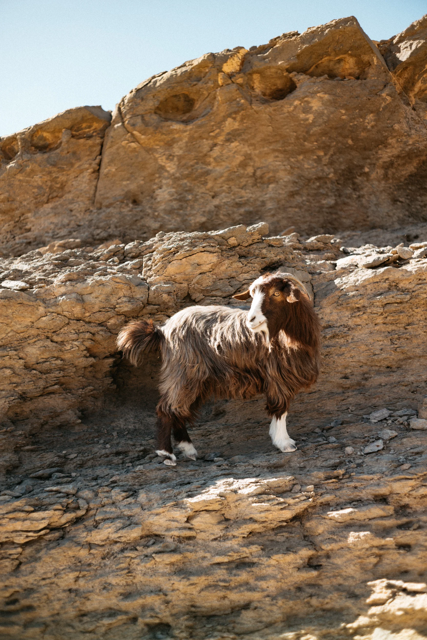 jebel_shams-30.jpg