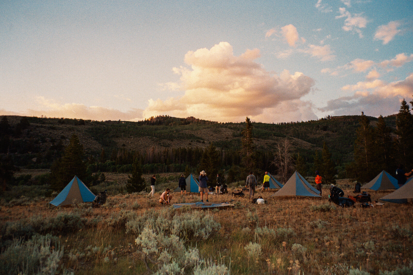 nols_film_low-3.jpg