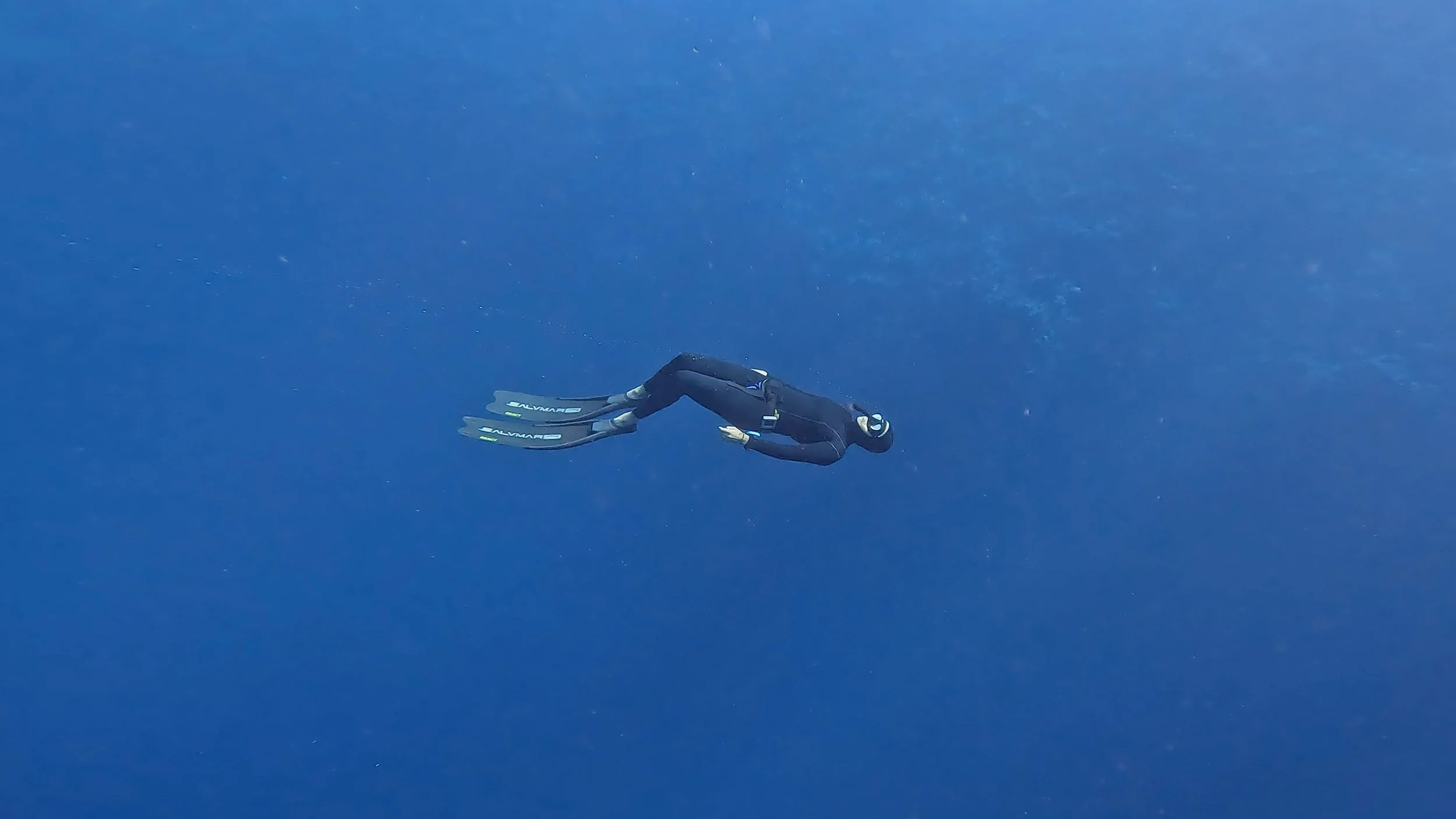 I’m a Freediver Now (A Story About Fear)