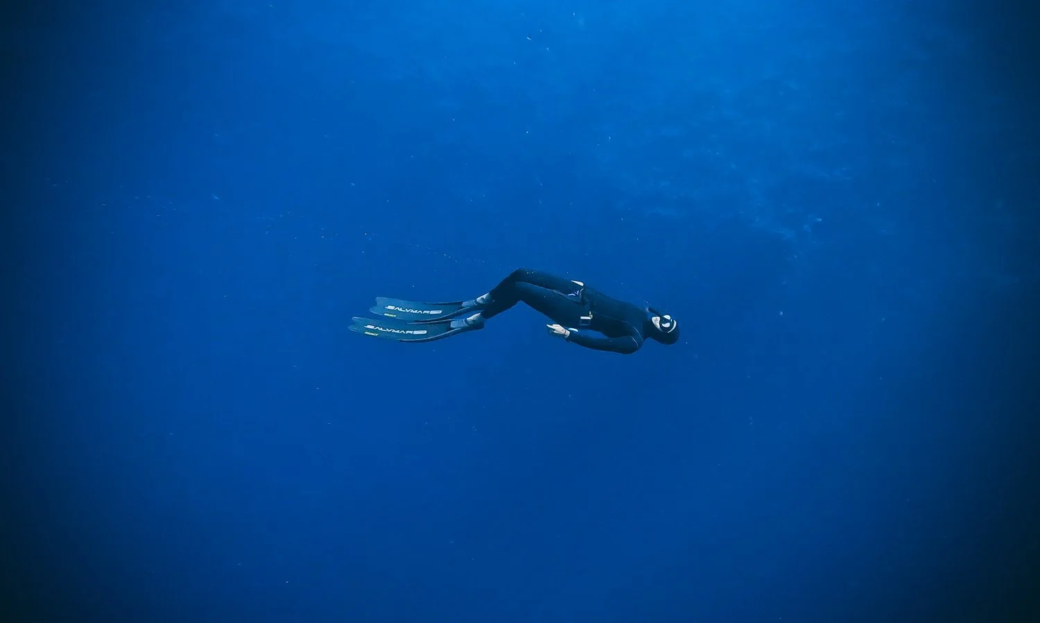 I’m a Freediver Now (A Story About Fear)