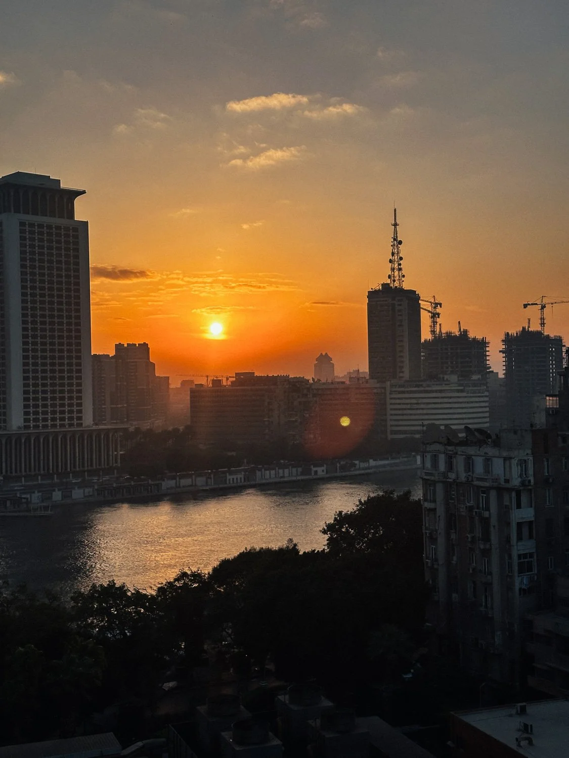 Cairo Exports-31.jpg