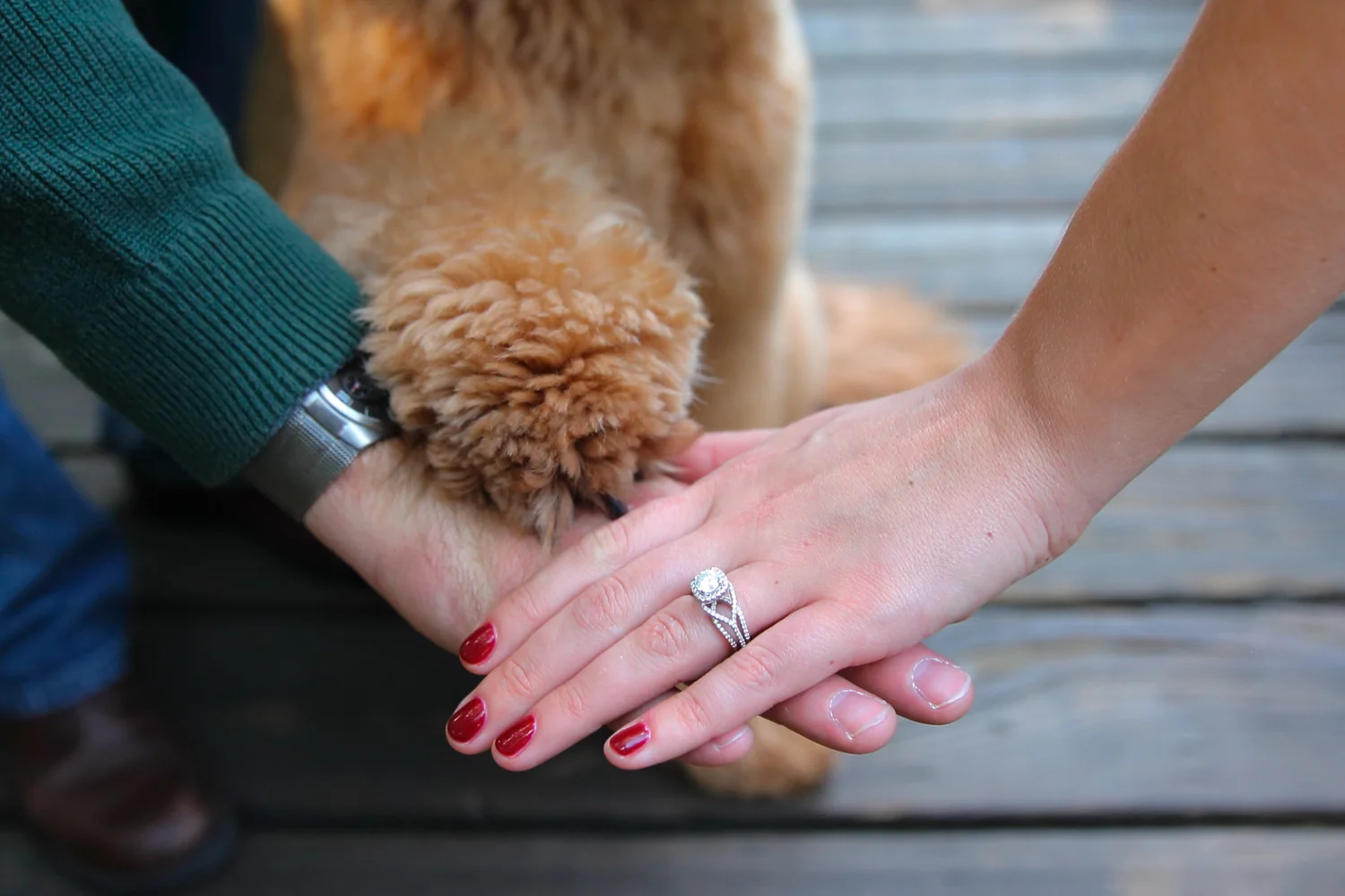 Engagement+Photos+Kirkland+Washington+14.jpg