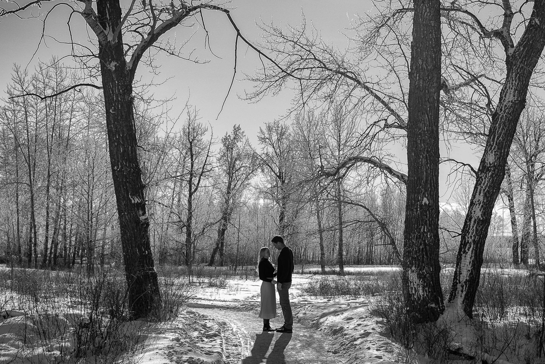 Engagement Photos Fish Creek Park
