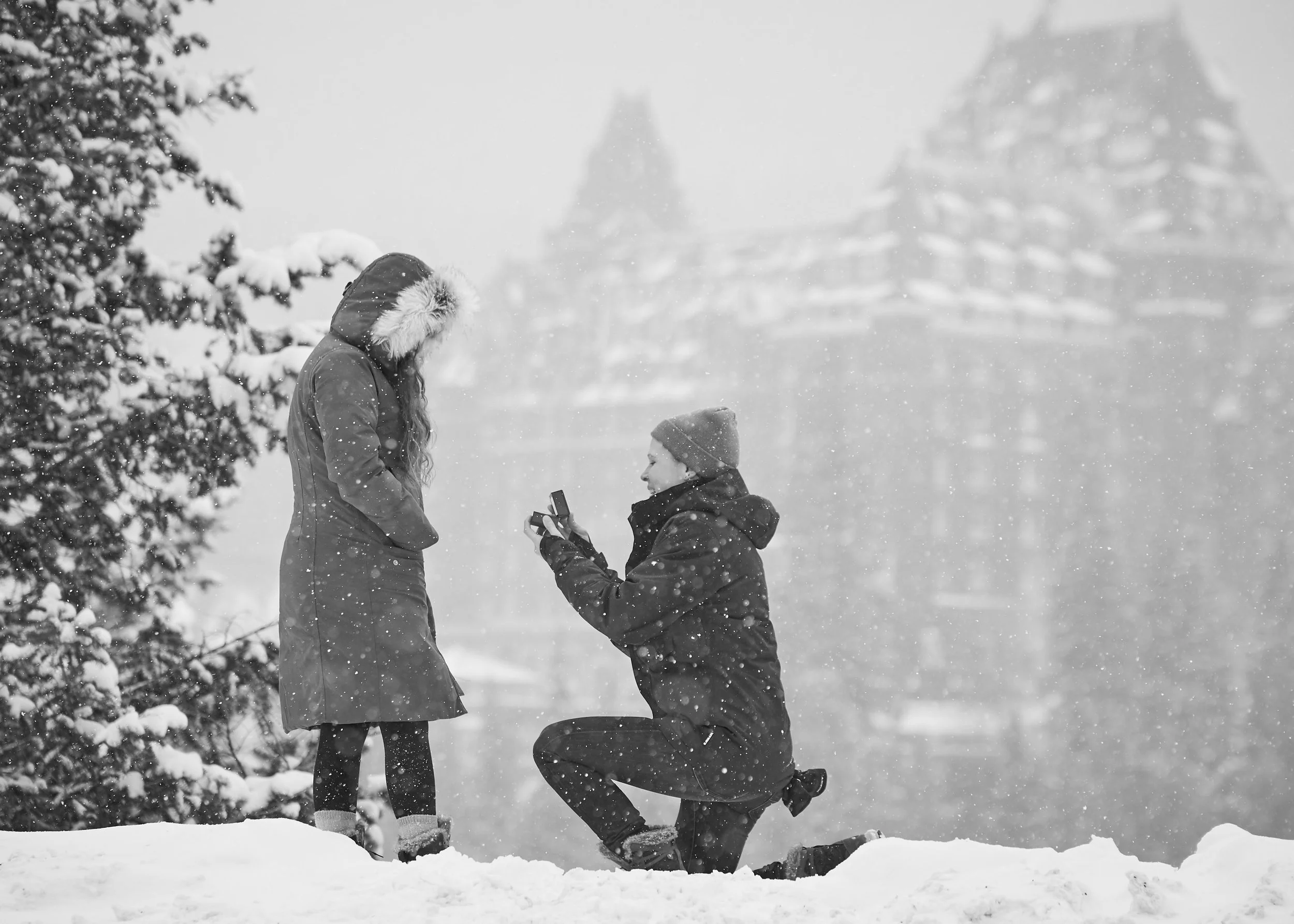 Surprise Proposal Banff