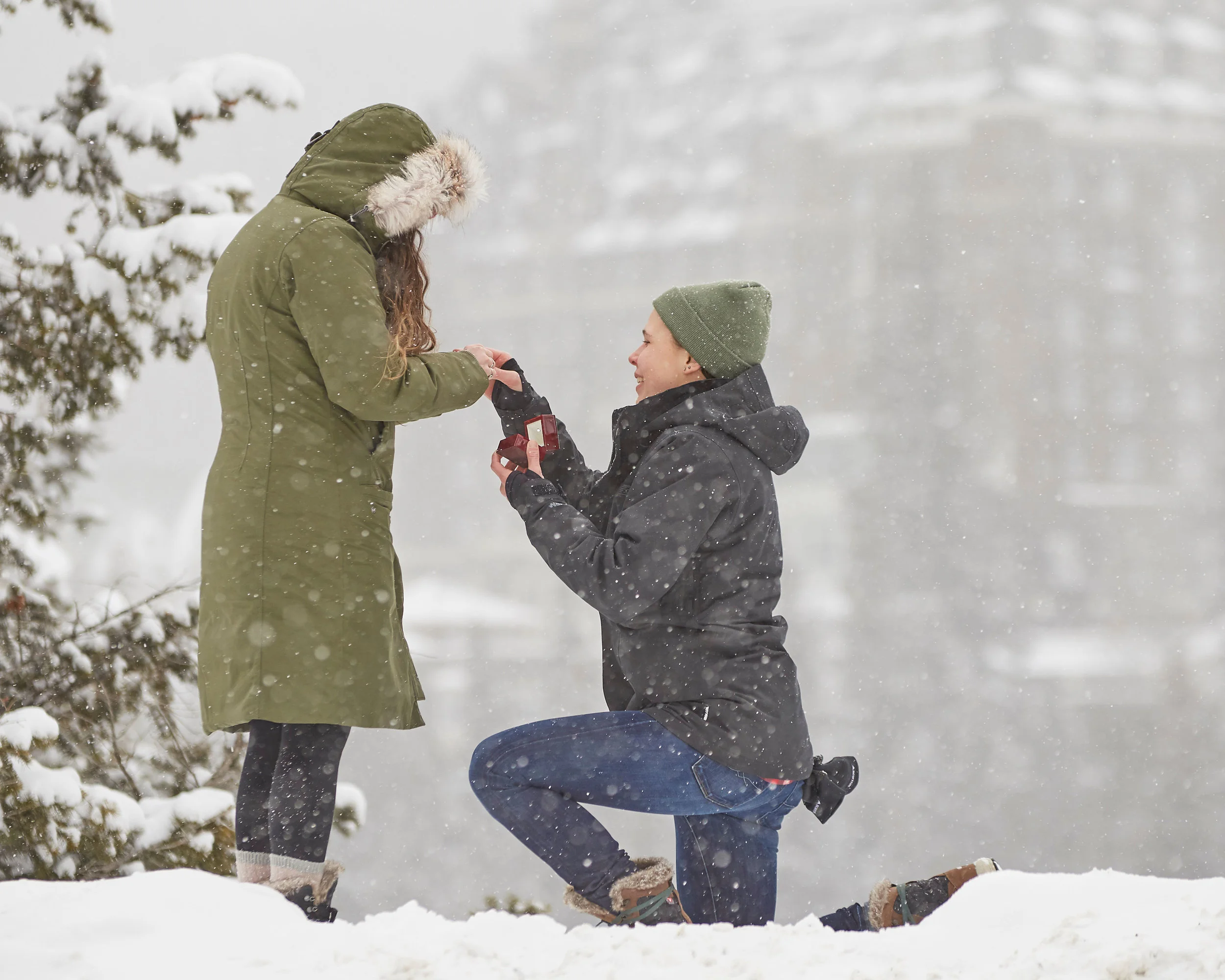 Surprise Proposal Banff