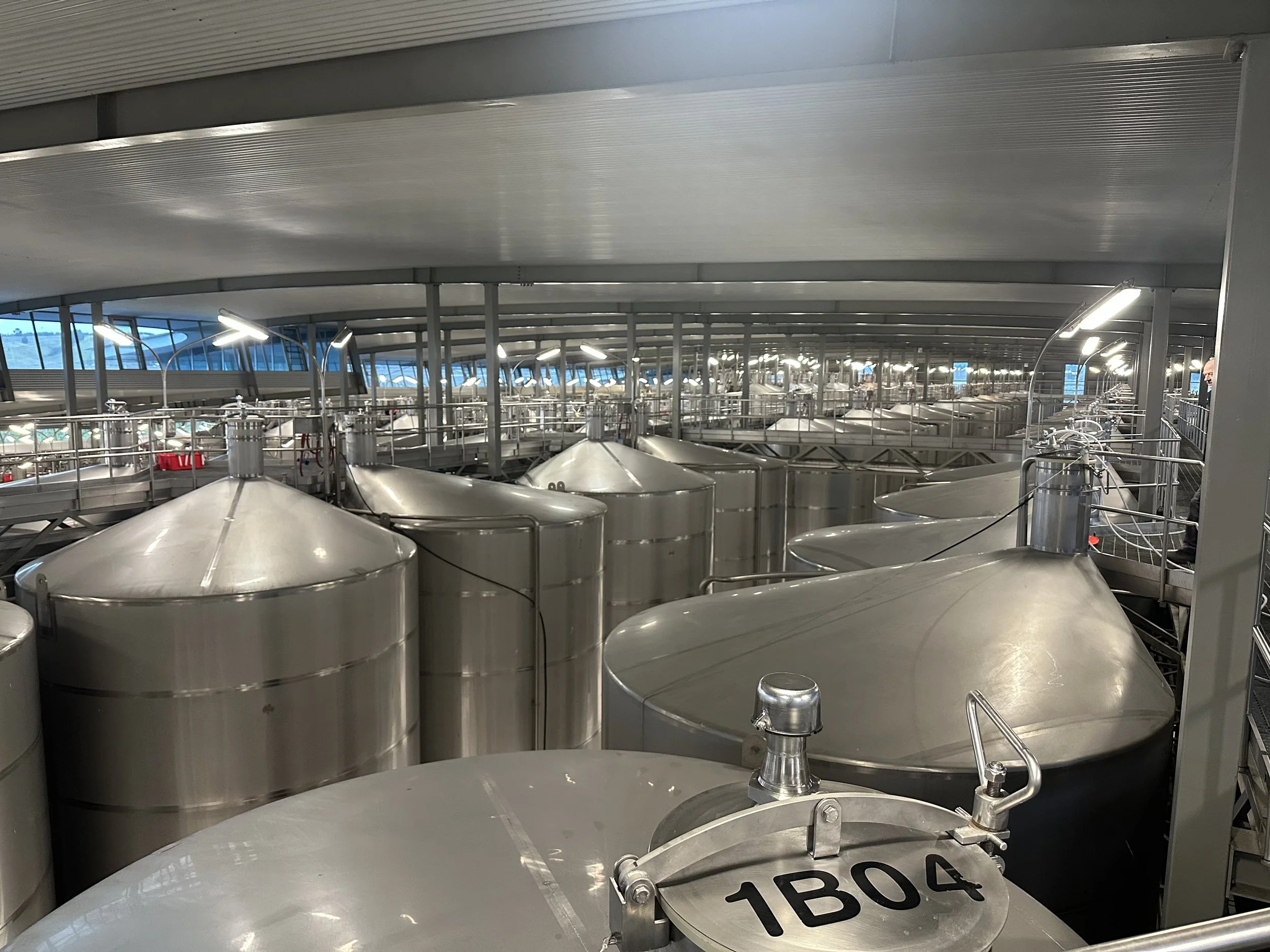 Designing winery facilities for scalability, sustainability and smart technology