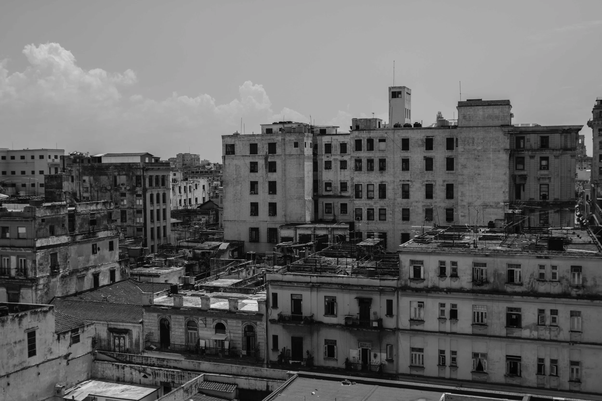DSC_0155.jpg