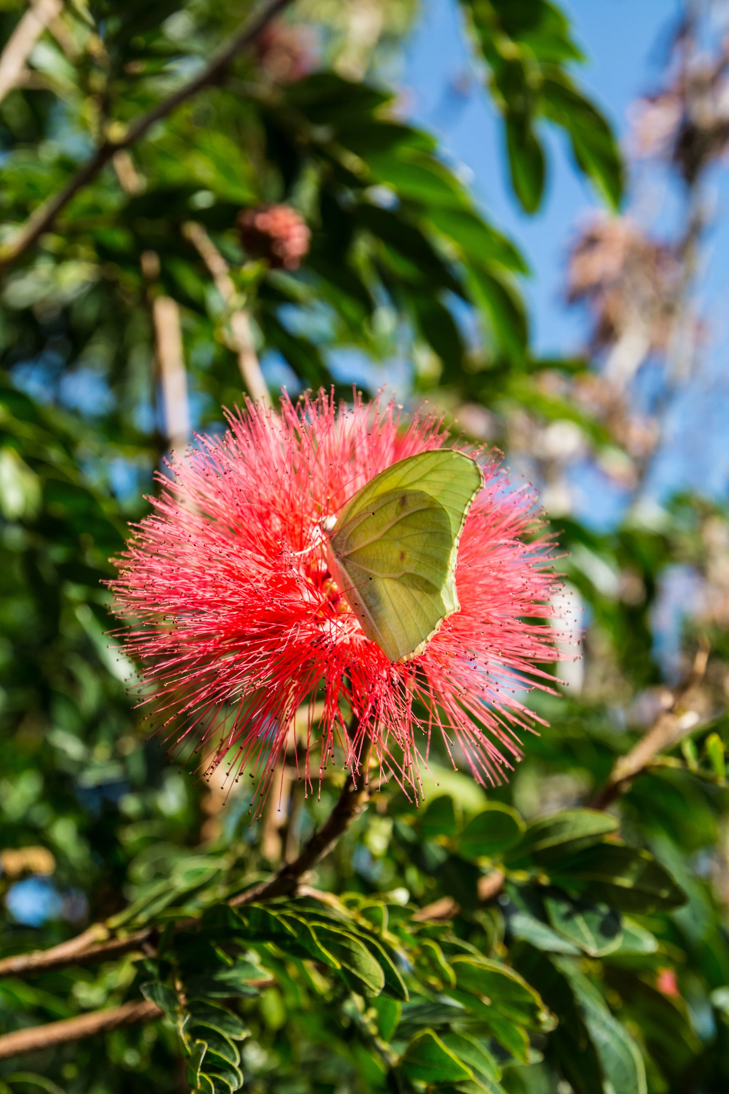 DSC_0795.jpg