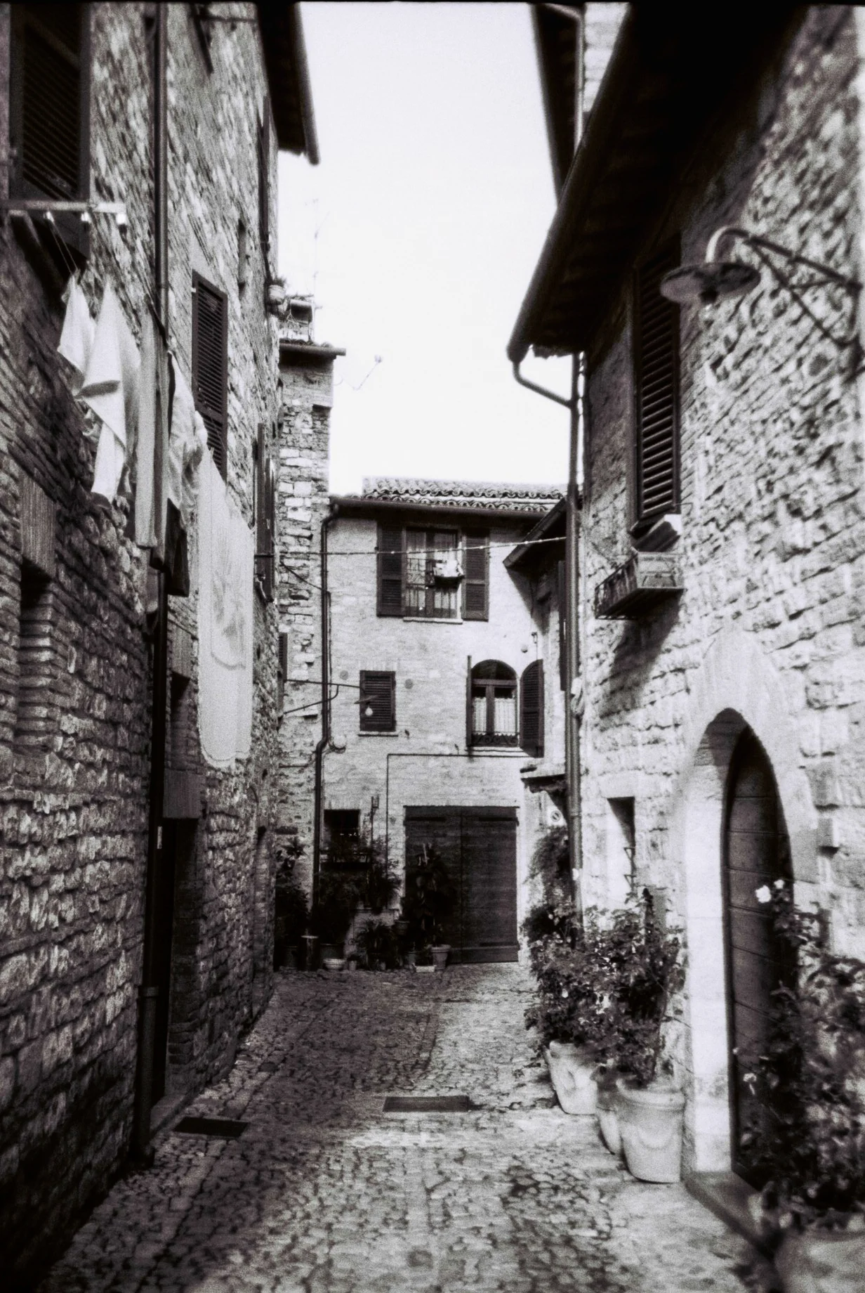 F1180004.jpg
