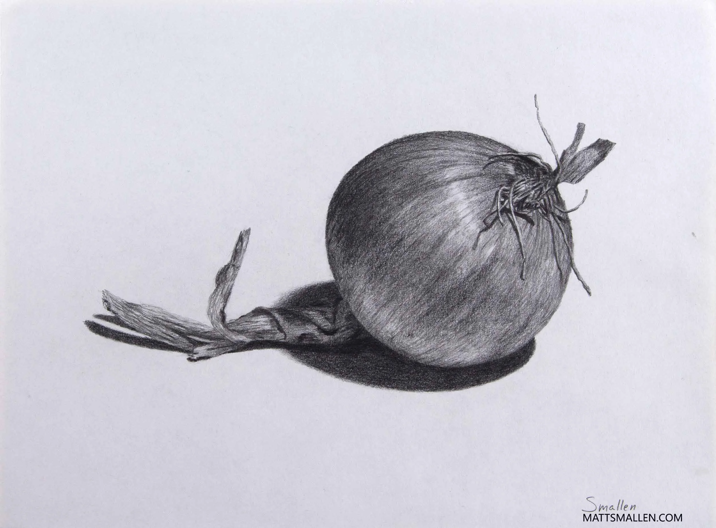 Yellow Oniongraphite on bristol board  12 x 9 in.