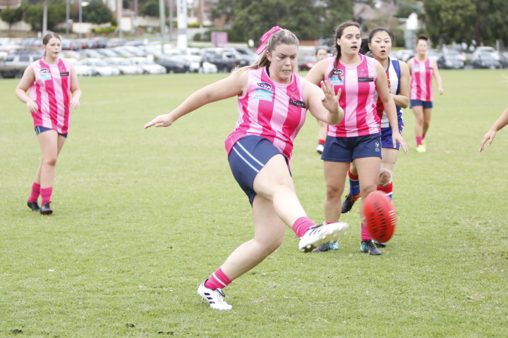 Animals look to avoid the Krush 