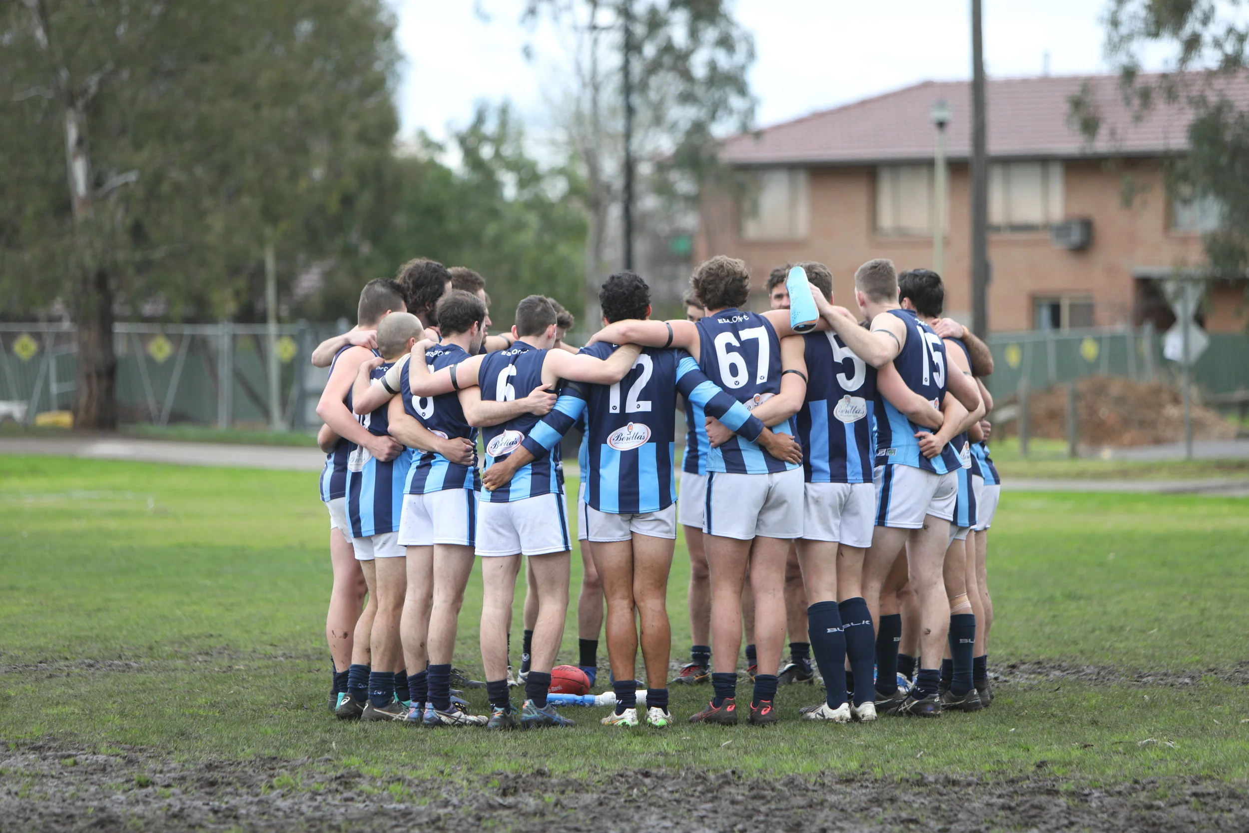 Animals downed in dour day