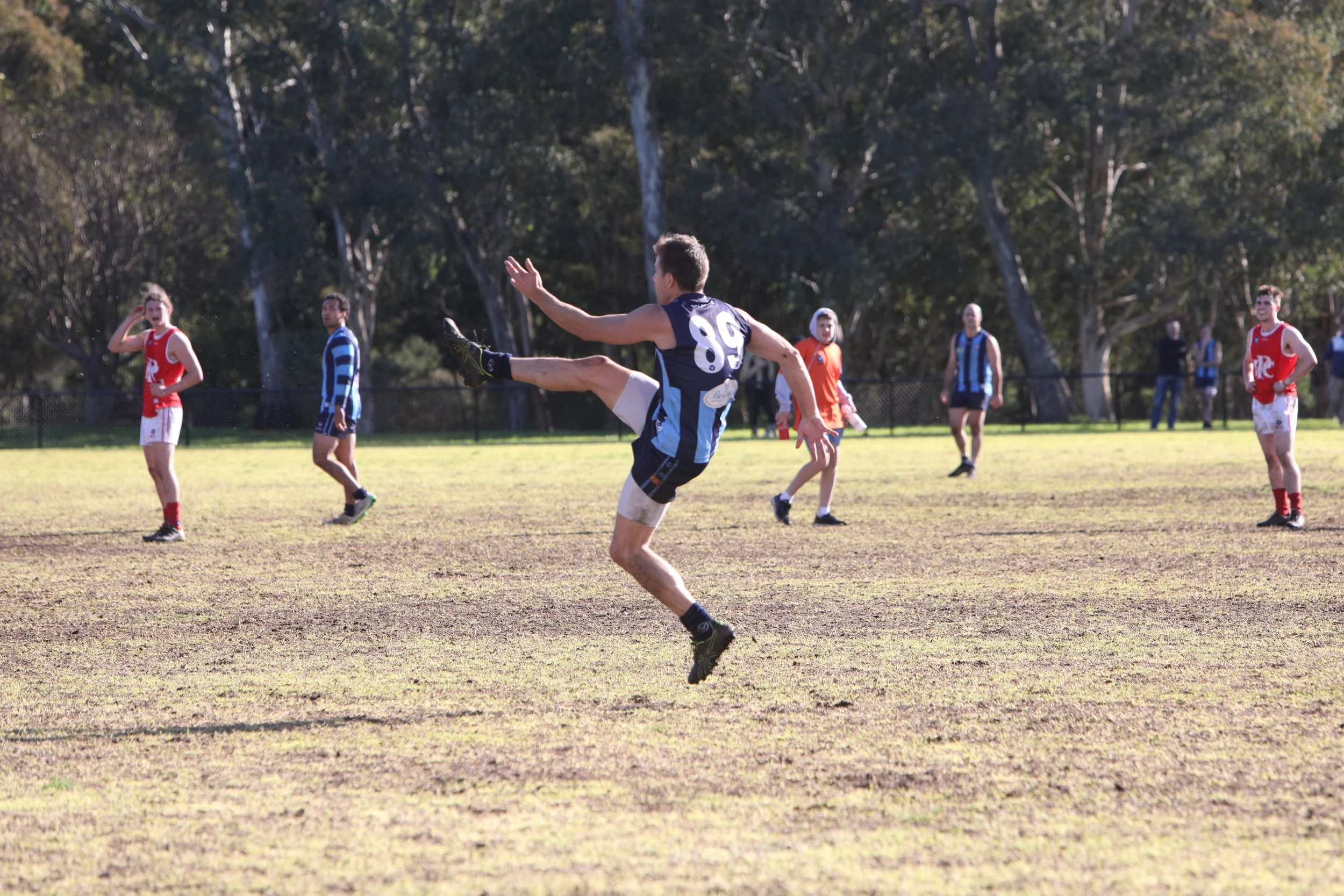 Devils condemned by wayward Animals