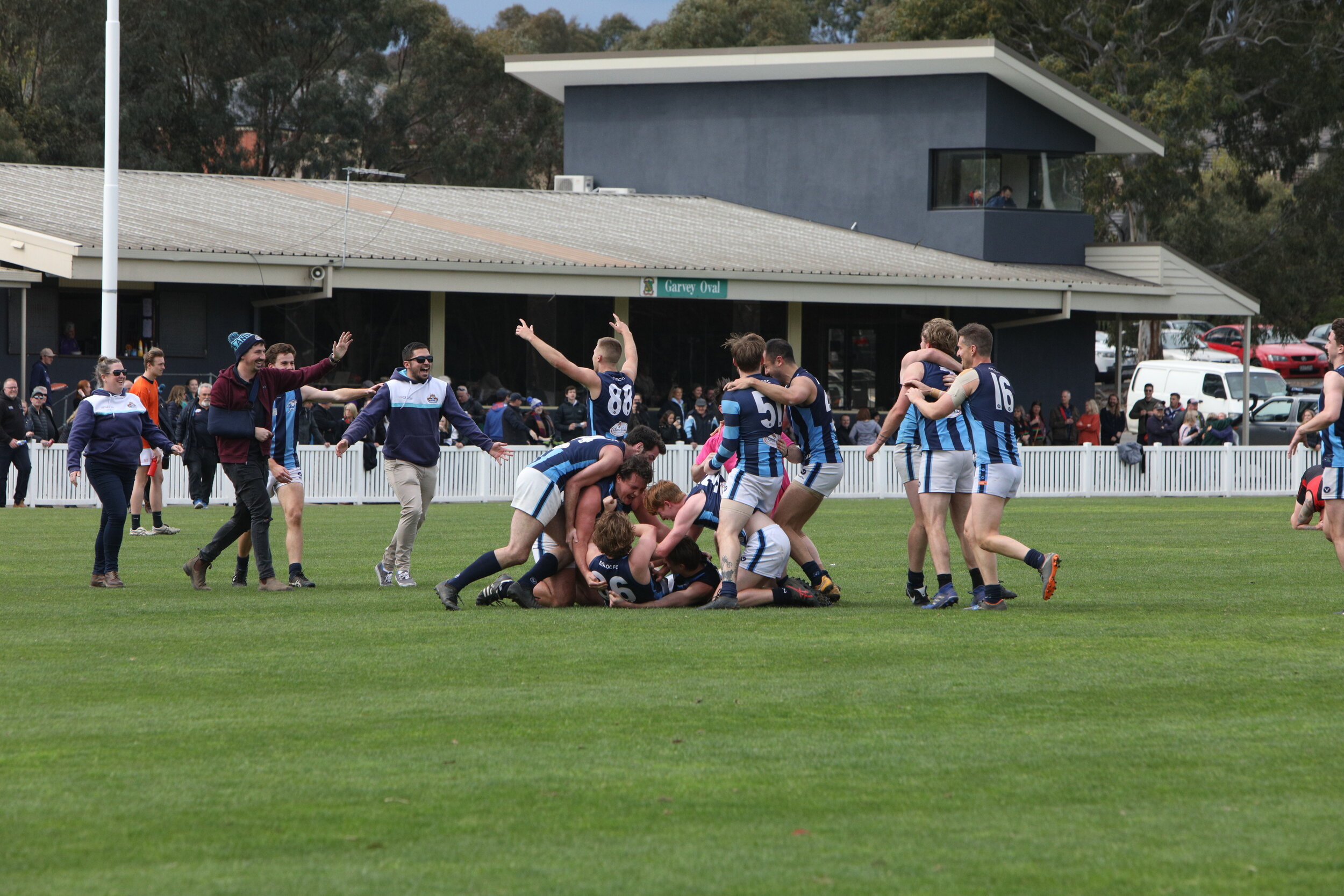 Paramanathan parts ways with Animals