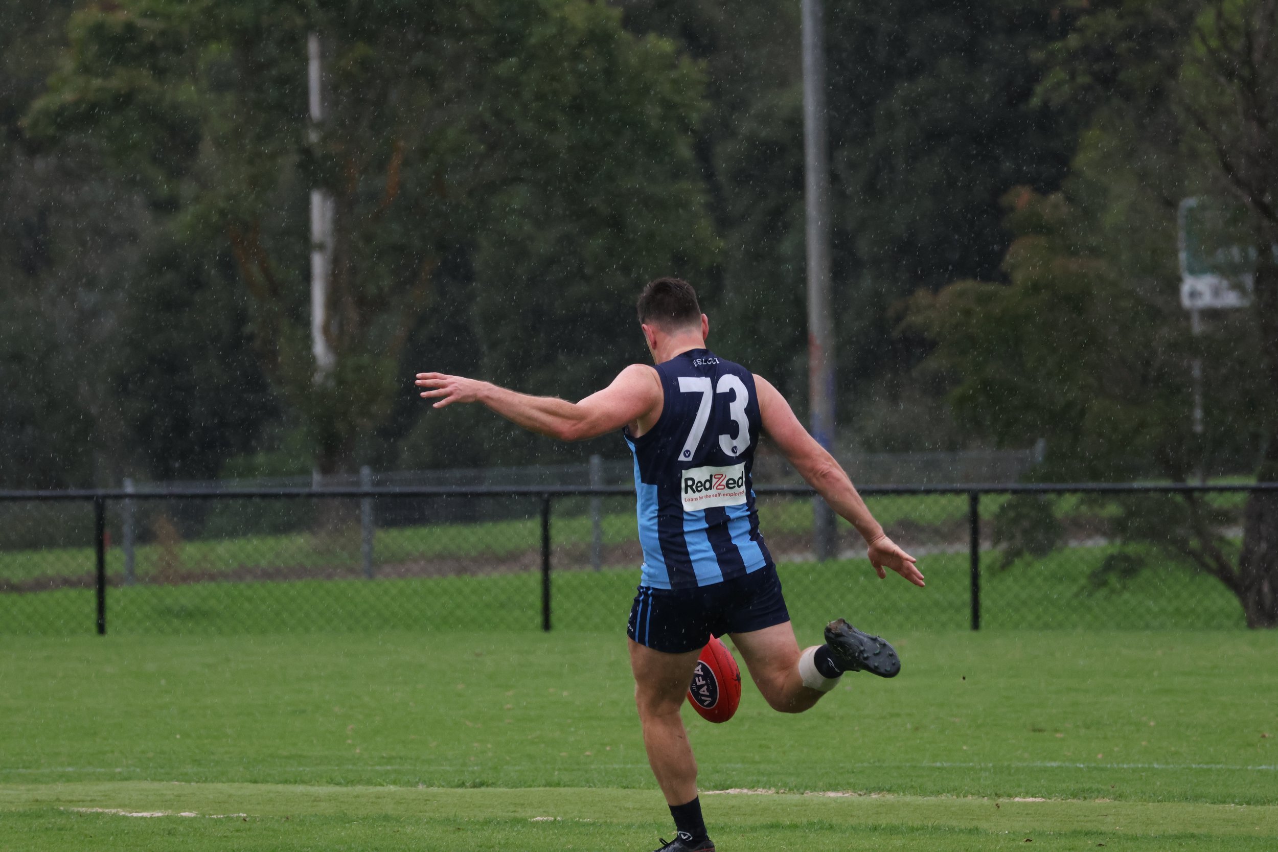 Animals poised for Power and Penola