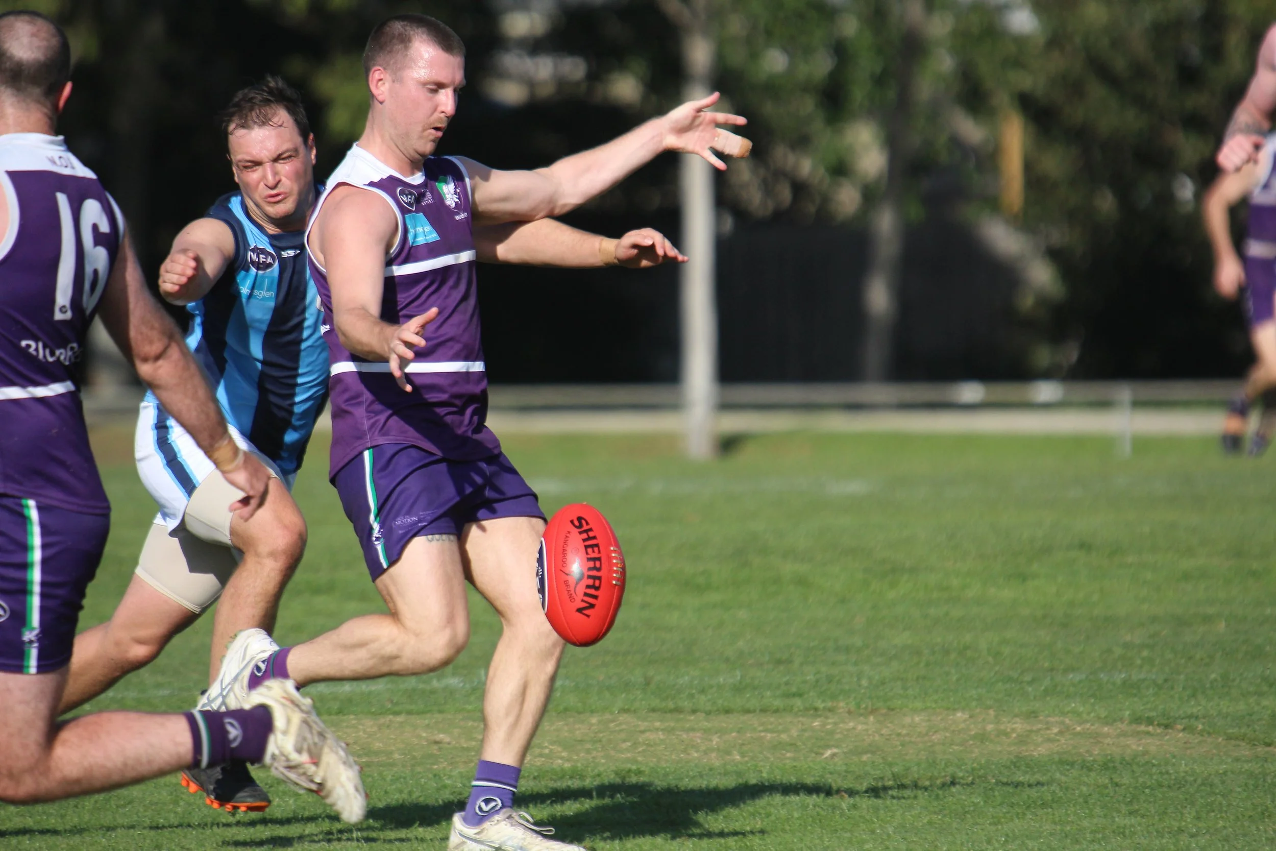 Zoo News: Trio of losses up north, Thirds grab third win