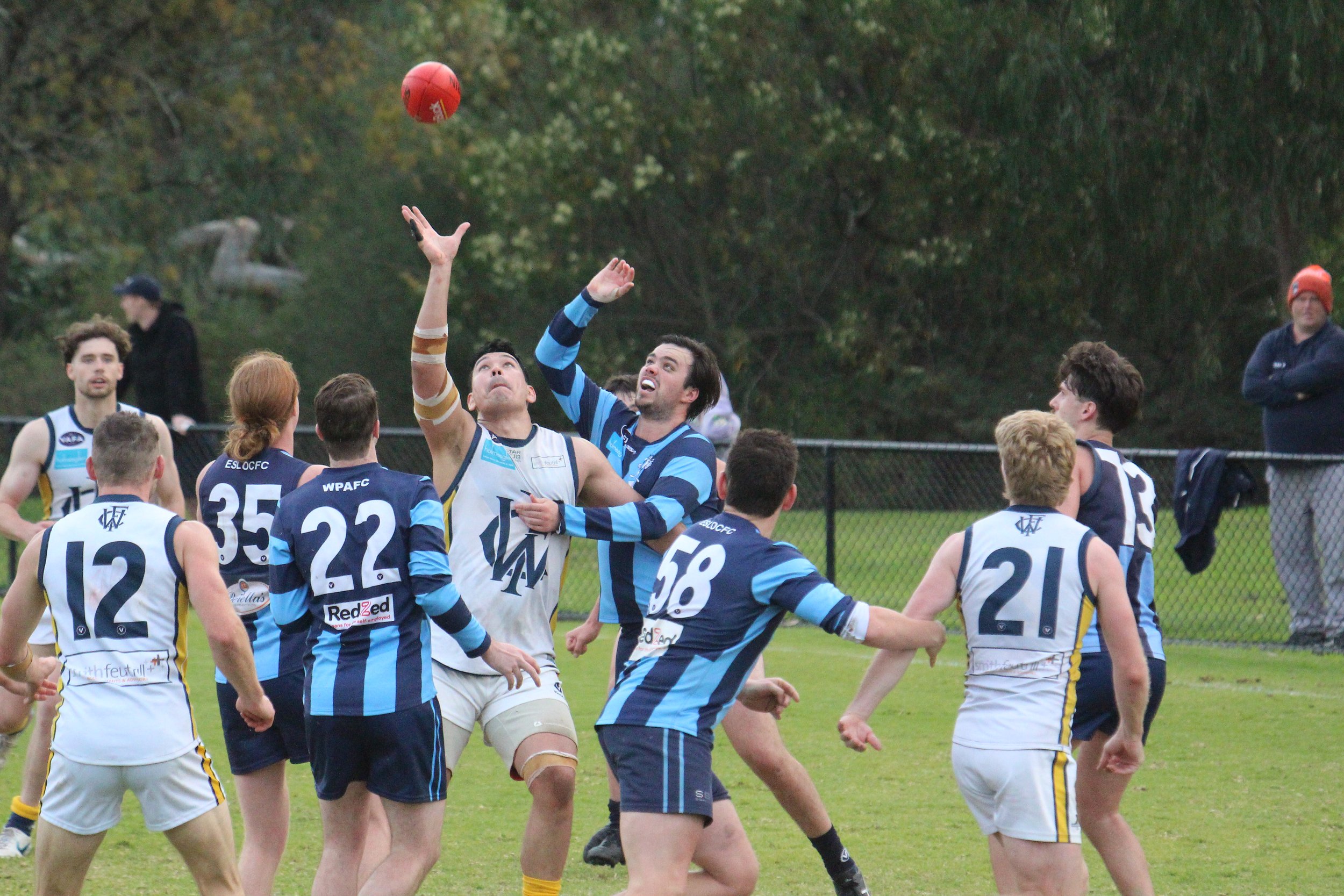 Zoo News: Tough day both at home and on the road