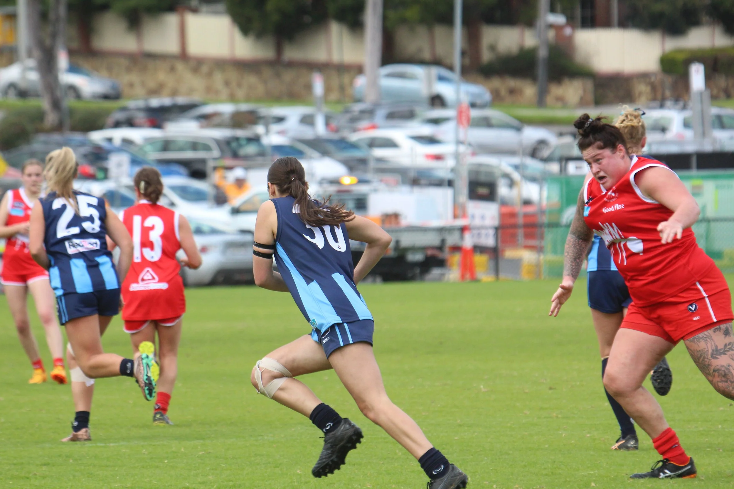 Zoo News: Final hurdle stumble prevents undefeated day