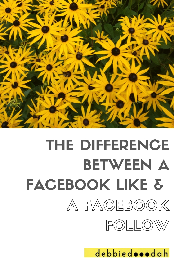 DIFFERENCE BETWEEN FACEBOOK LIKE AND A FACEBOOK FOLLOW.jpg