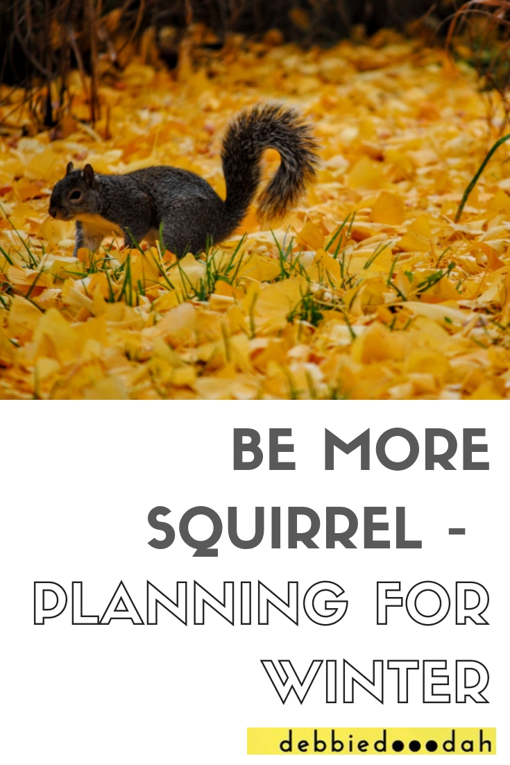 BE MORE SQUIRREL - PLANNING FOR WINTER.jpg