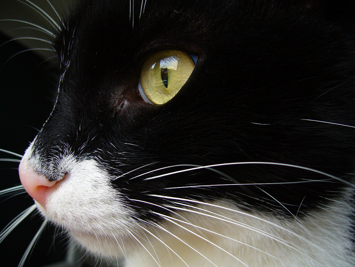 What’s the difference between setting intentions and goals? 