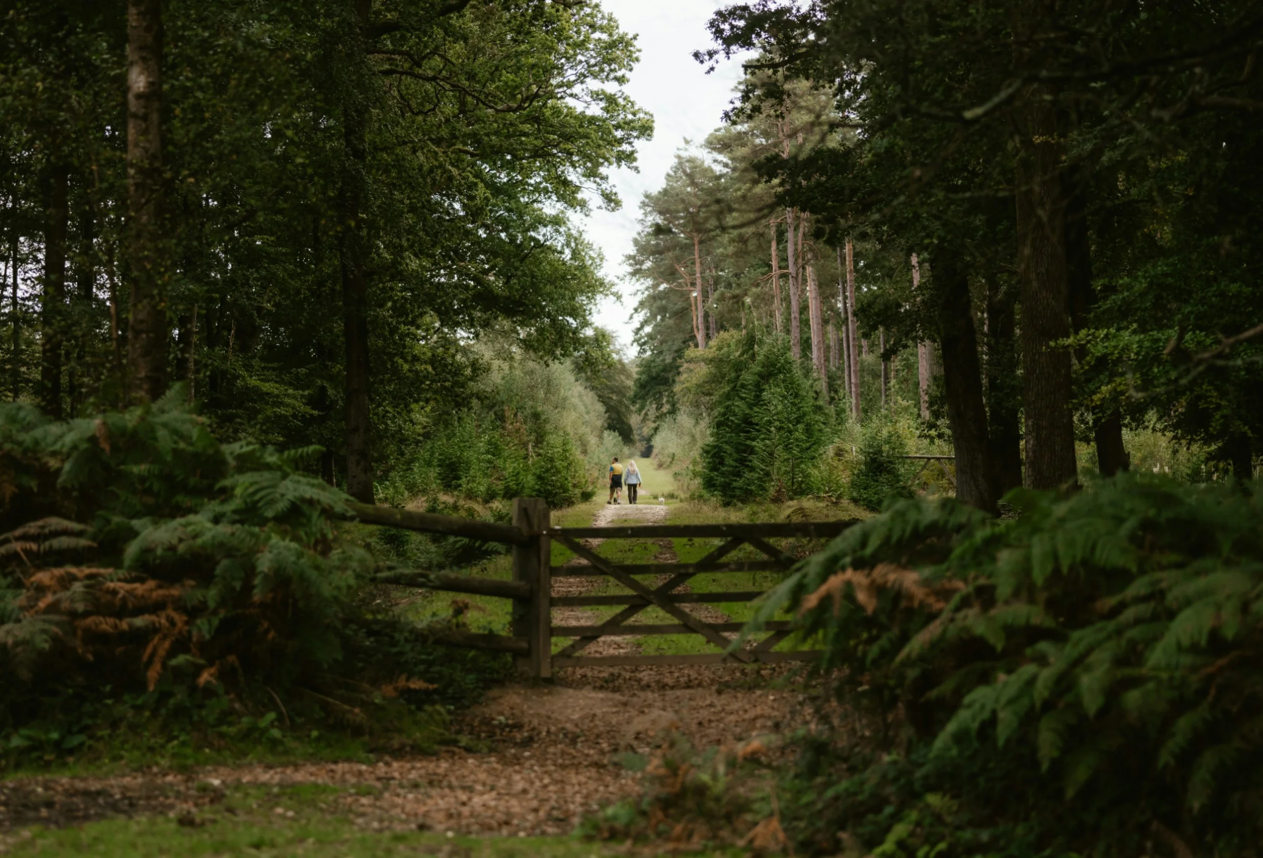 Guide: Everything you need to know about annuities when creating a retirement income