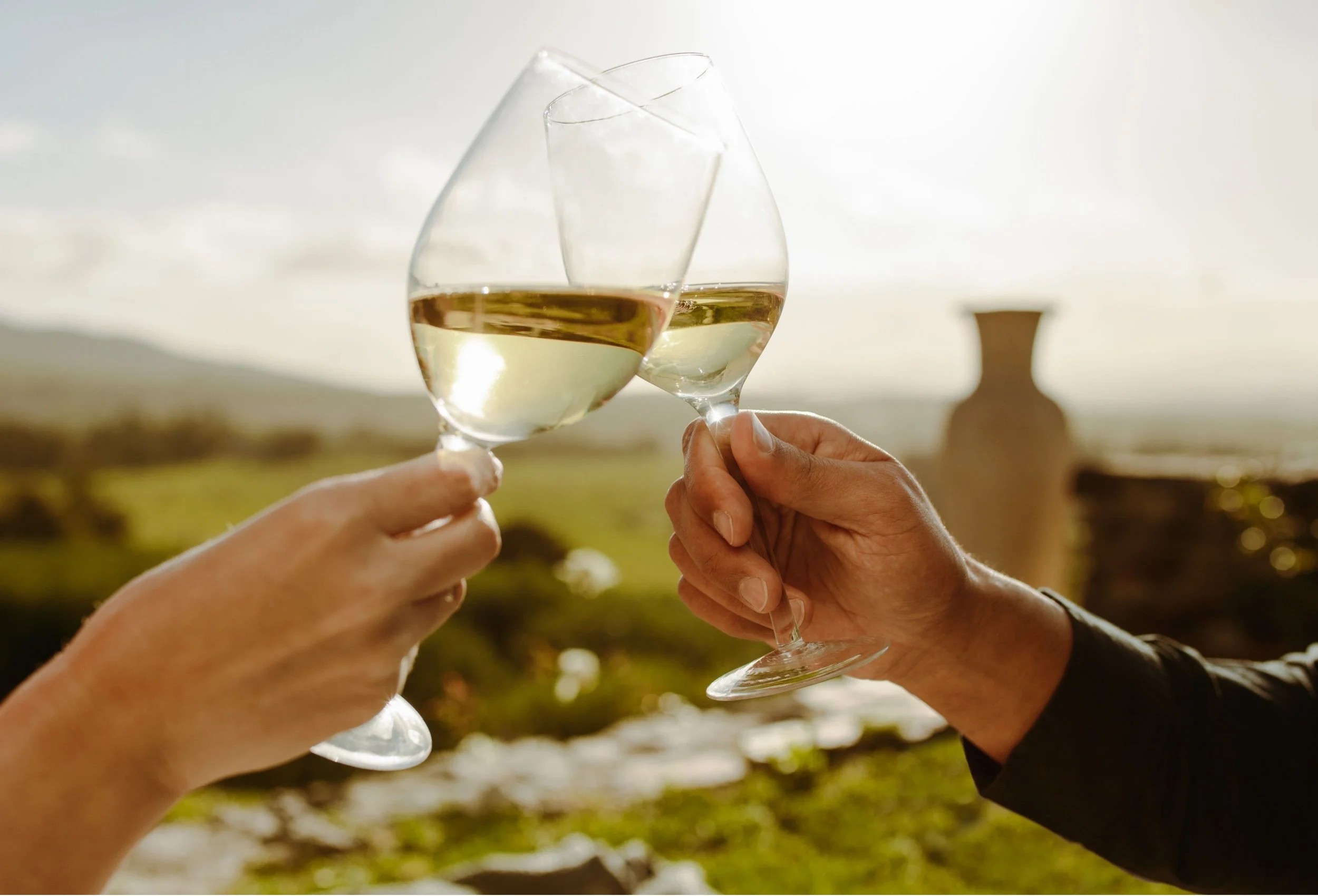 7 English vineyards and wineries to visit this summer 