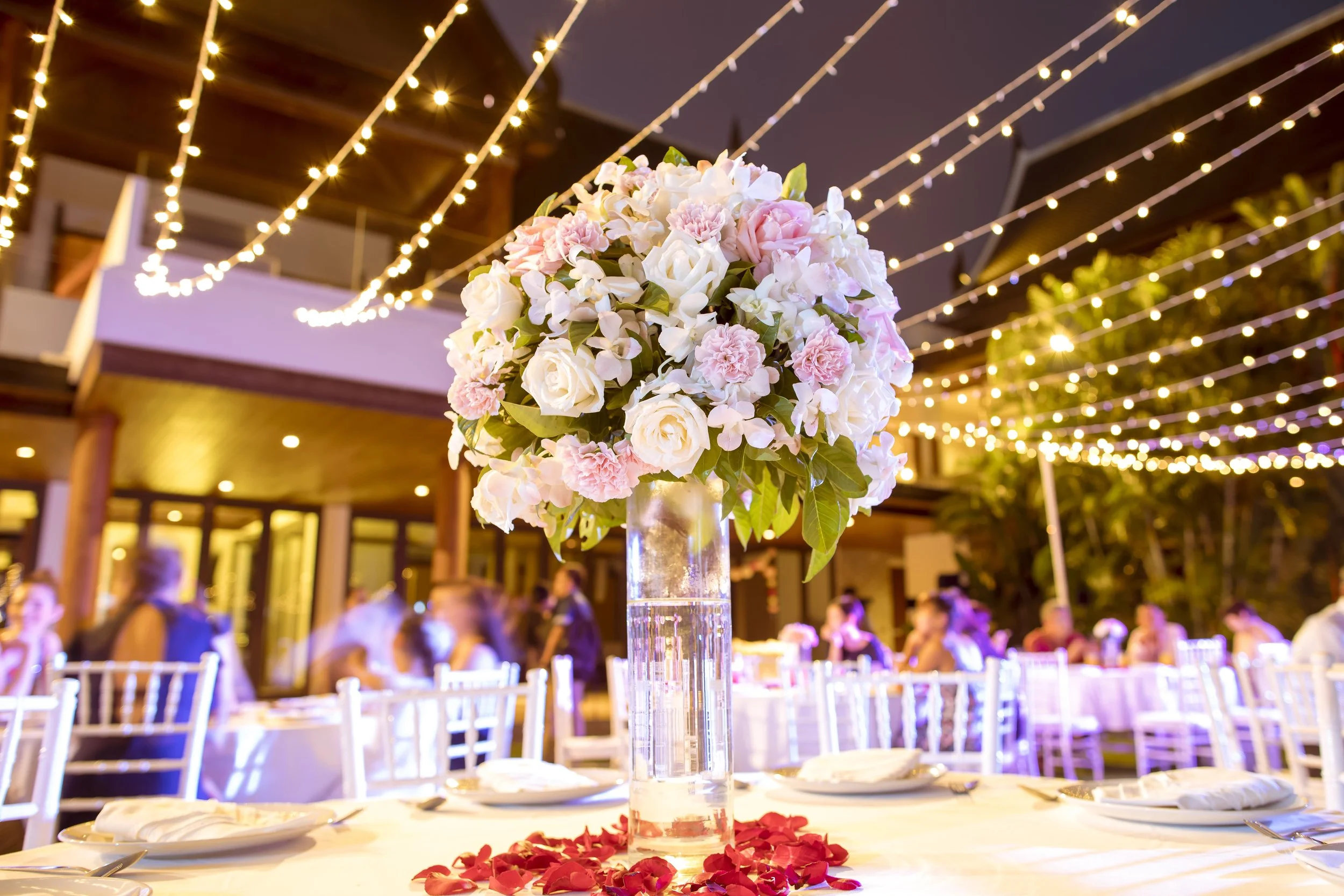 Wedding Reception with fairy light canopy